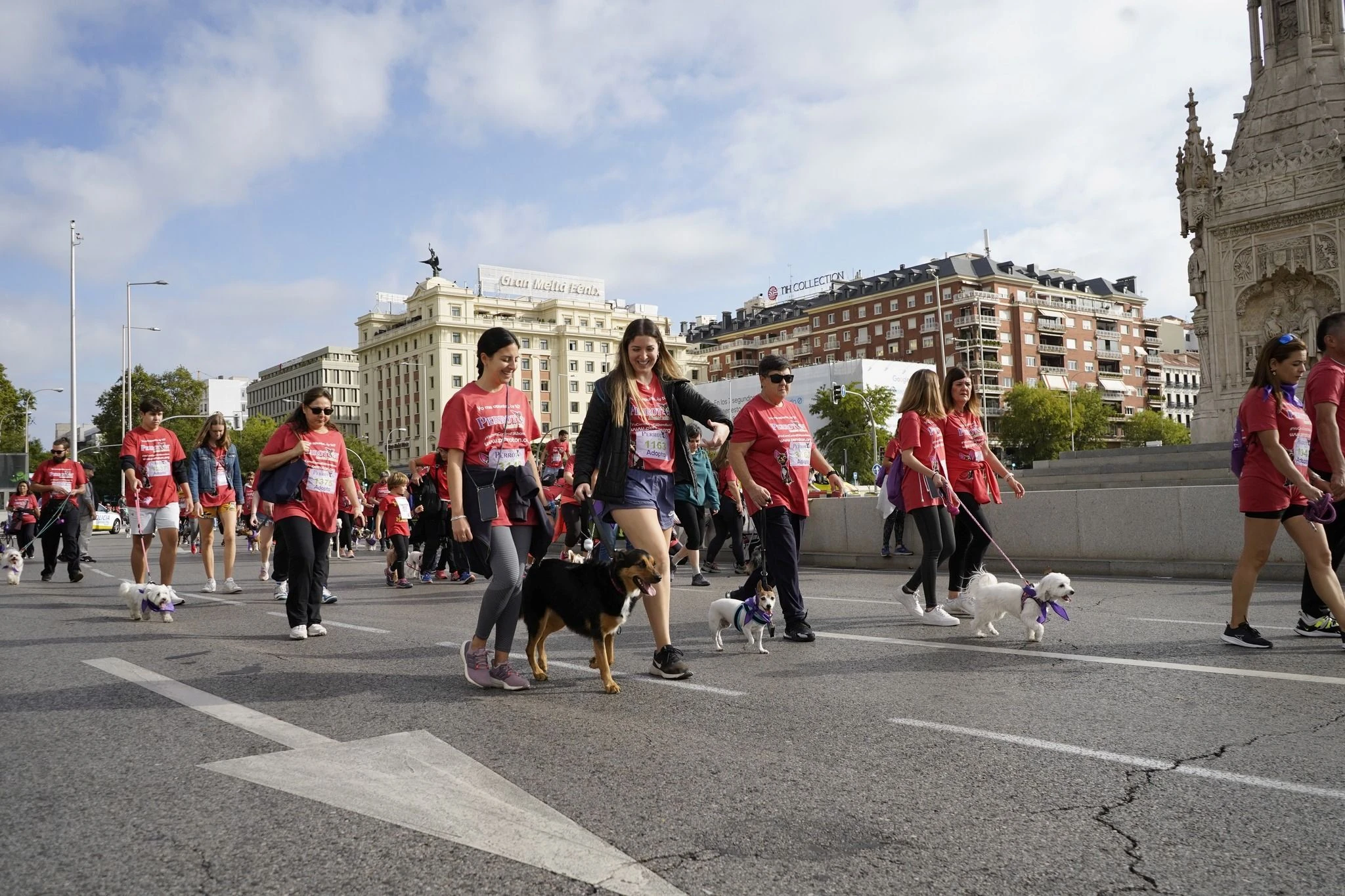 Perrot&oacute;n Espa&ntilde;a