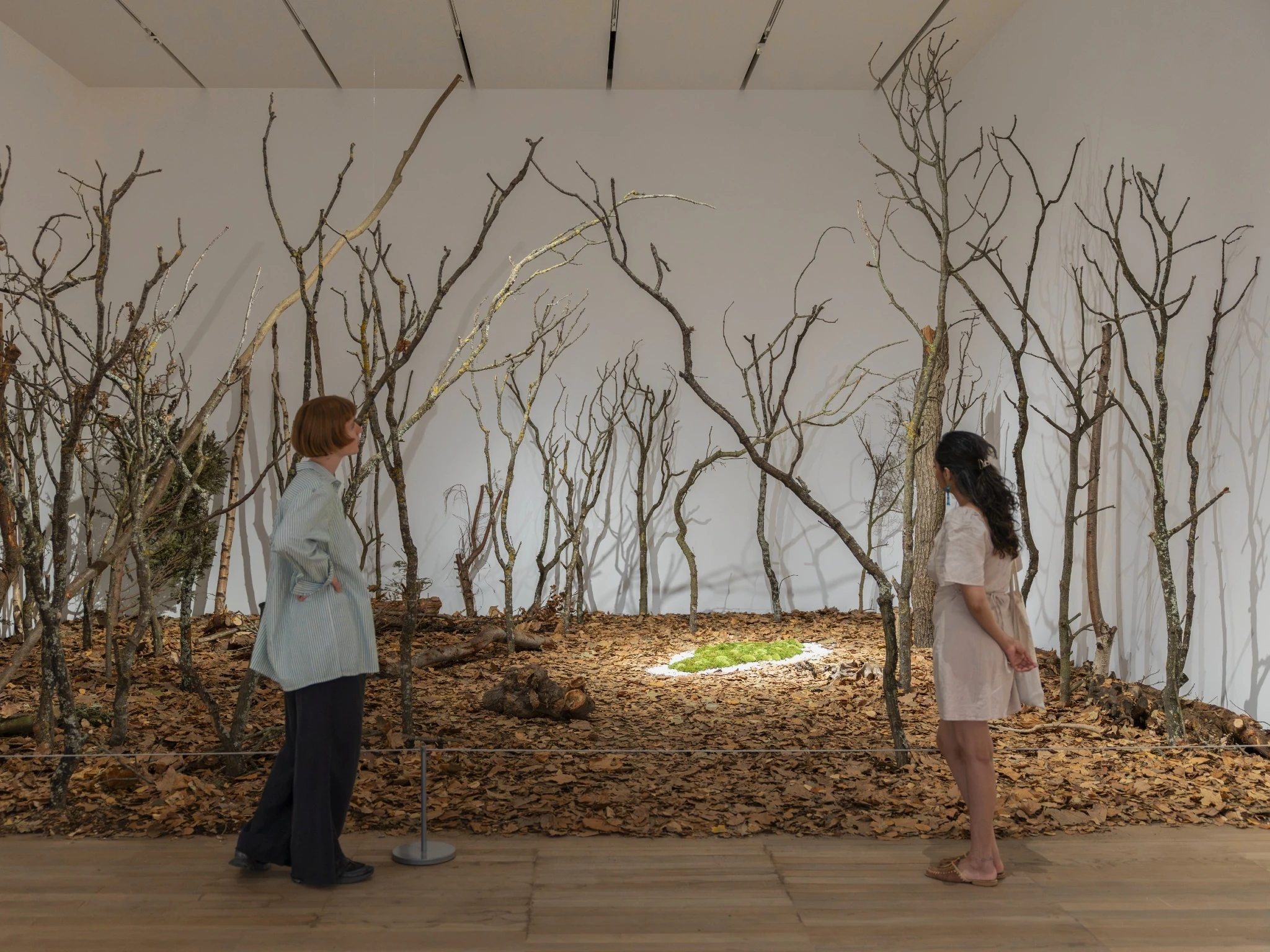 &lsquo;Ana Mendieta&rsquo; installation view at Tate Modern 2026