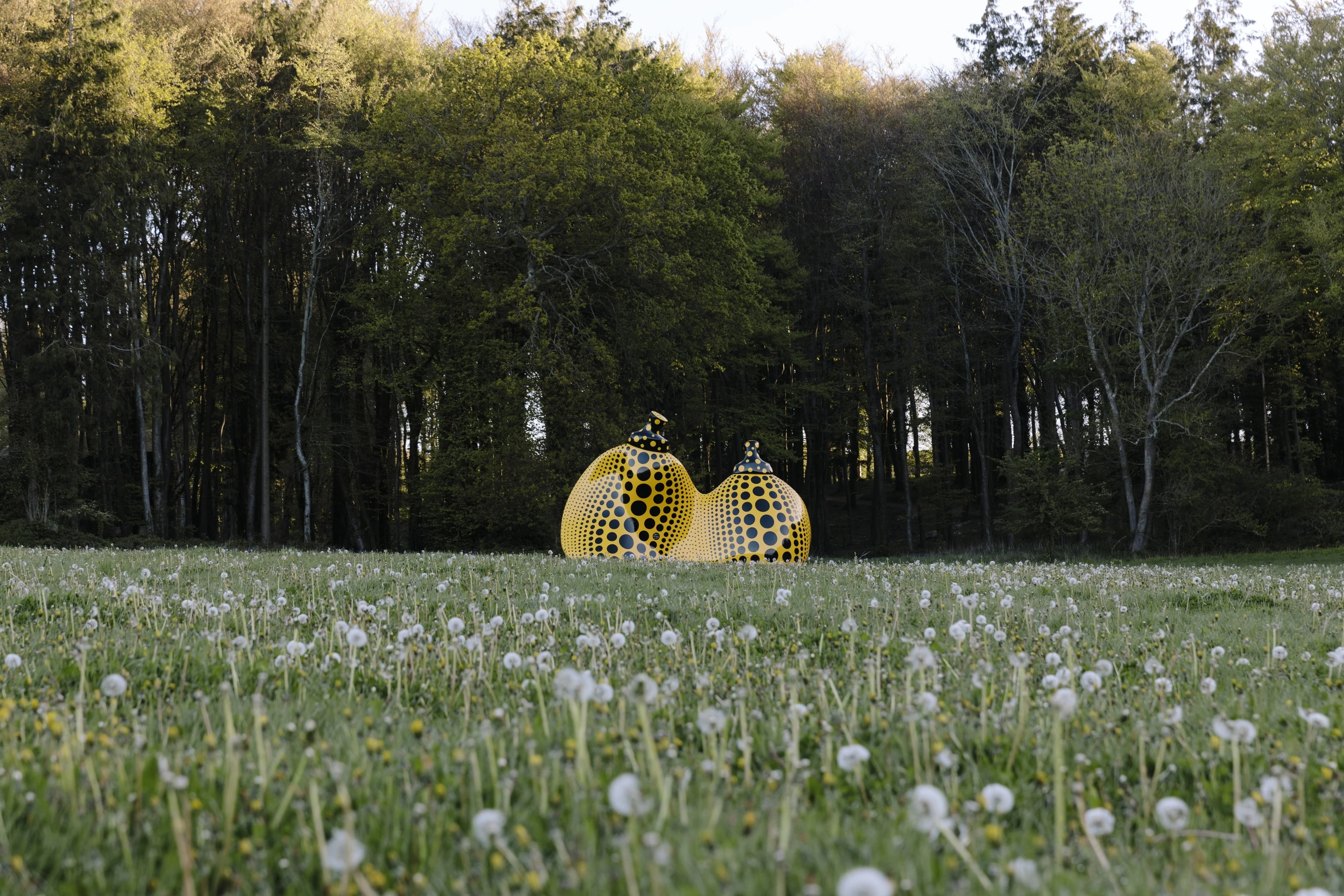 Installation View, Yayoi Kusama, Aspiring to Pumpkin&rsquo;s Love, the Love in My Heart (2023).
