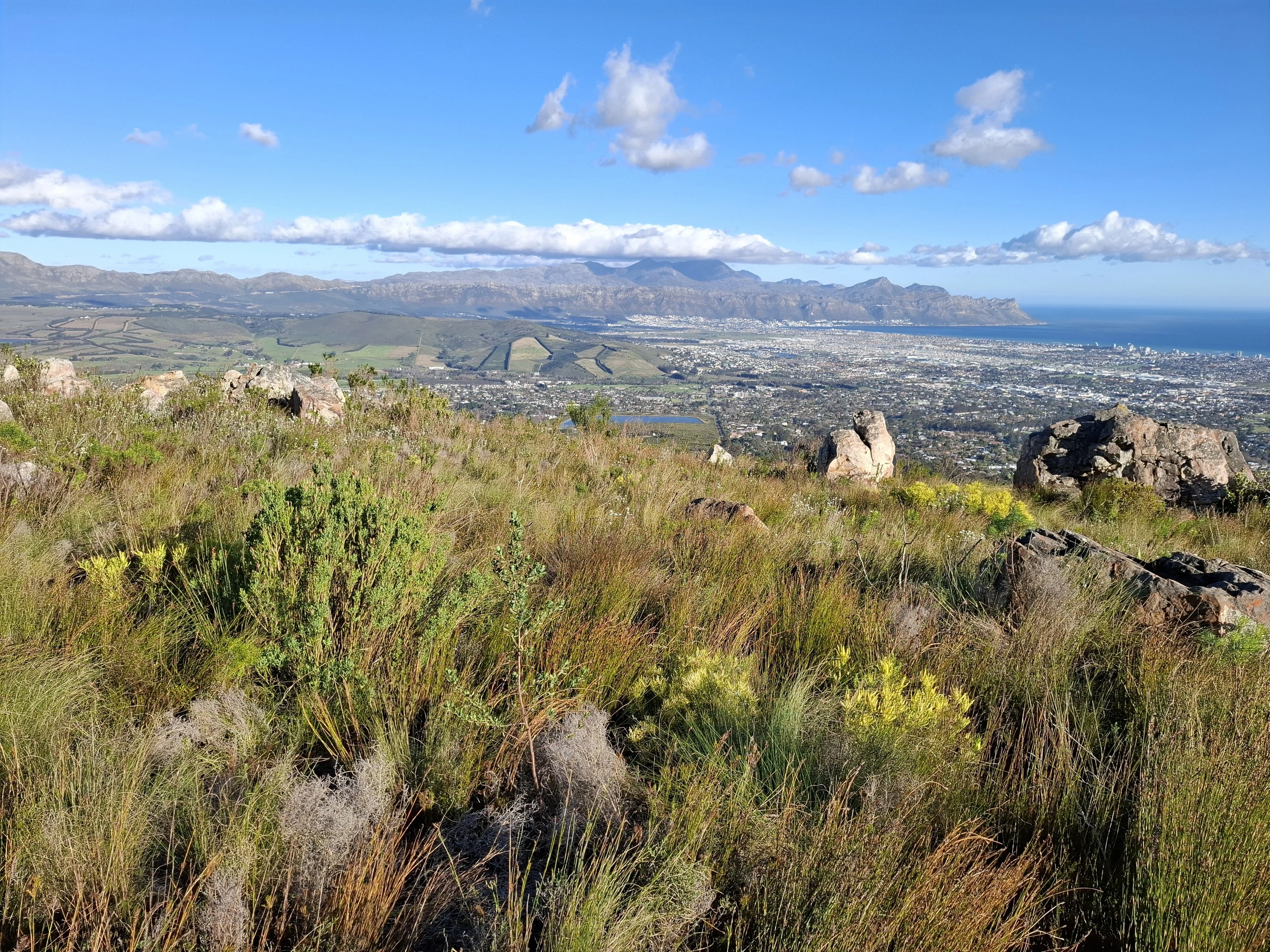 Tygerberg Nature Reserve offers panaromic views of the city.
