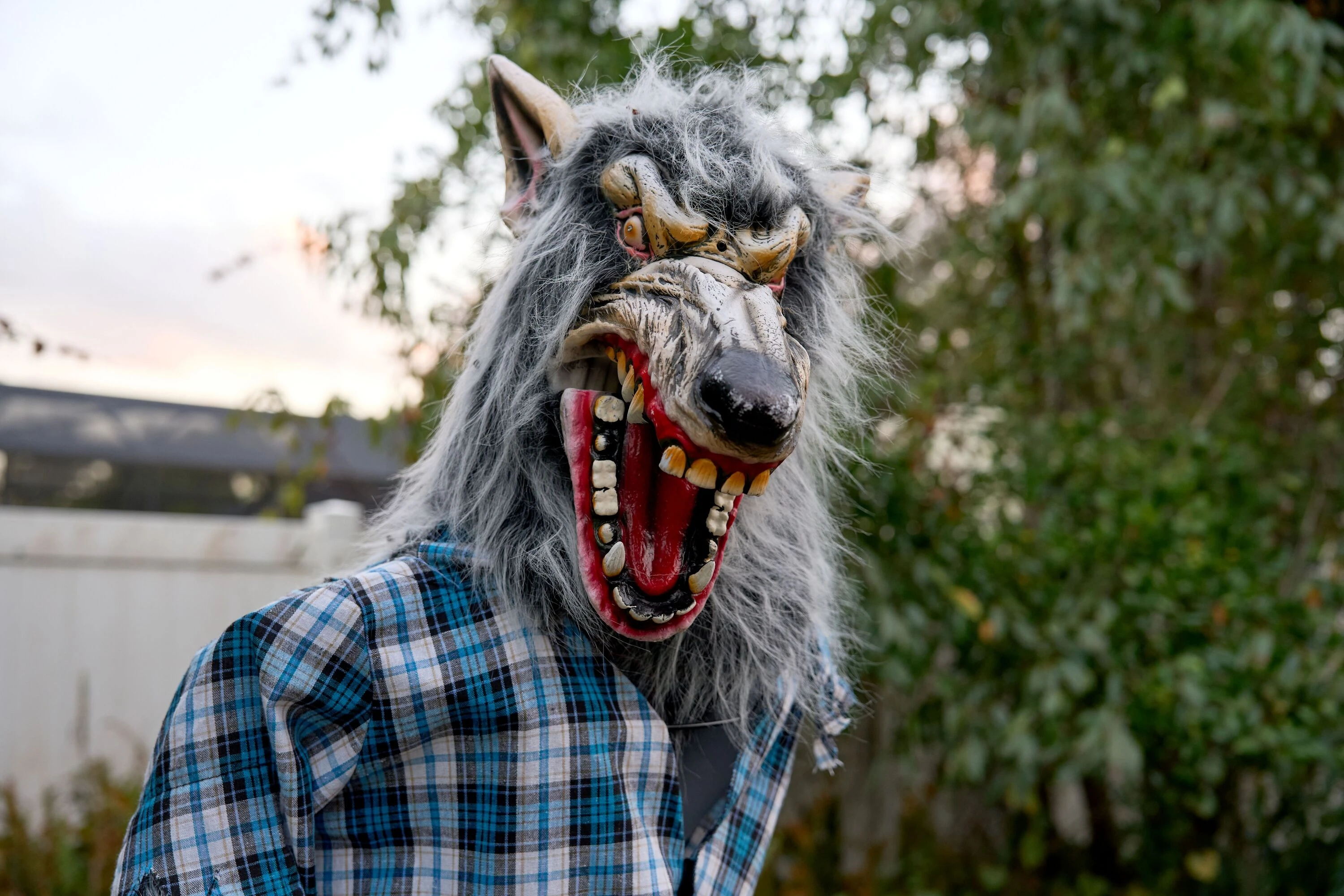 Disfraz de Halloween