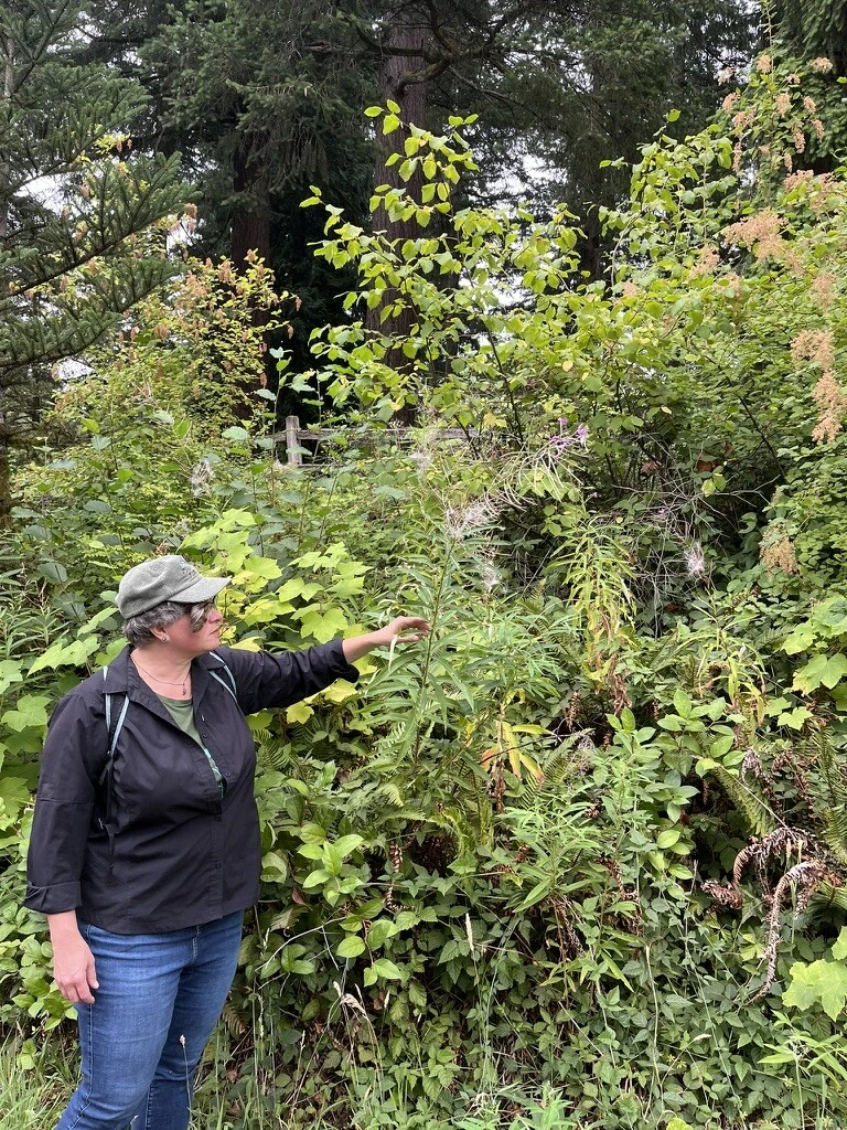 Missy Rohs with fireweed on an Arctos School walk