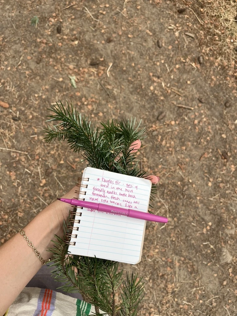Notes from an Arctos School walk
