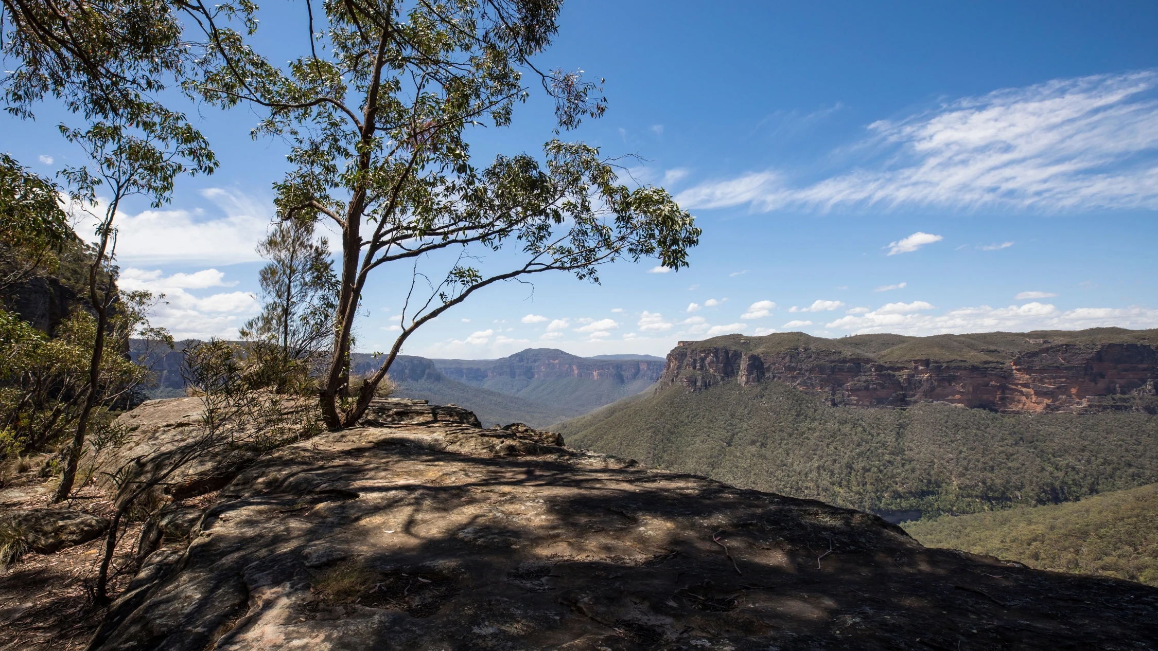 Grand Canyon track