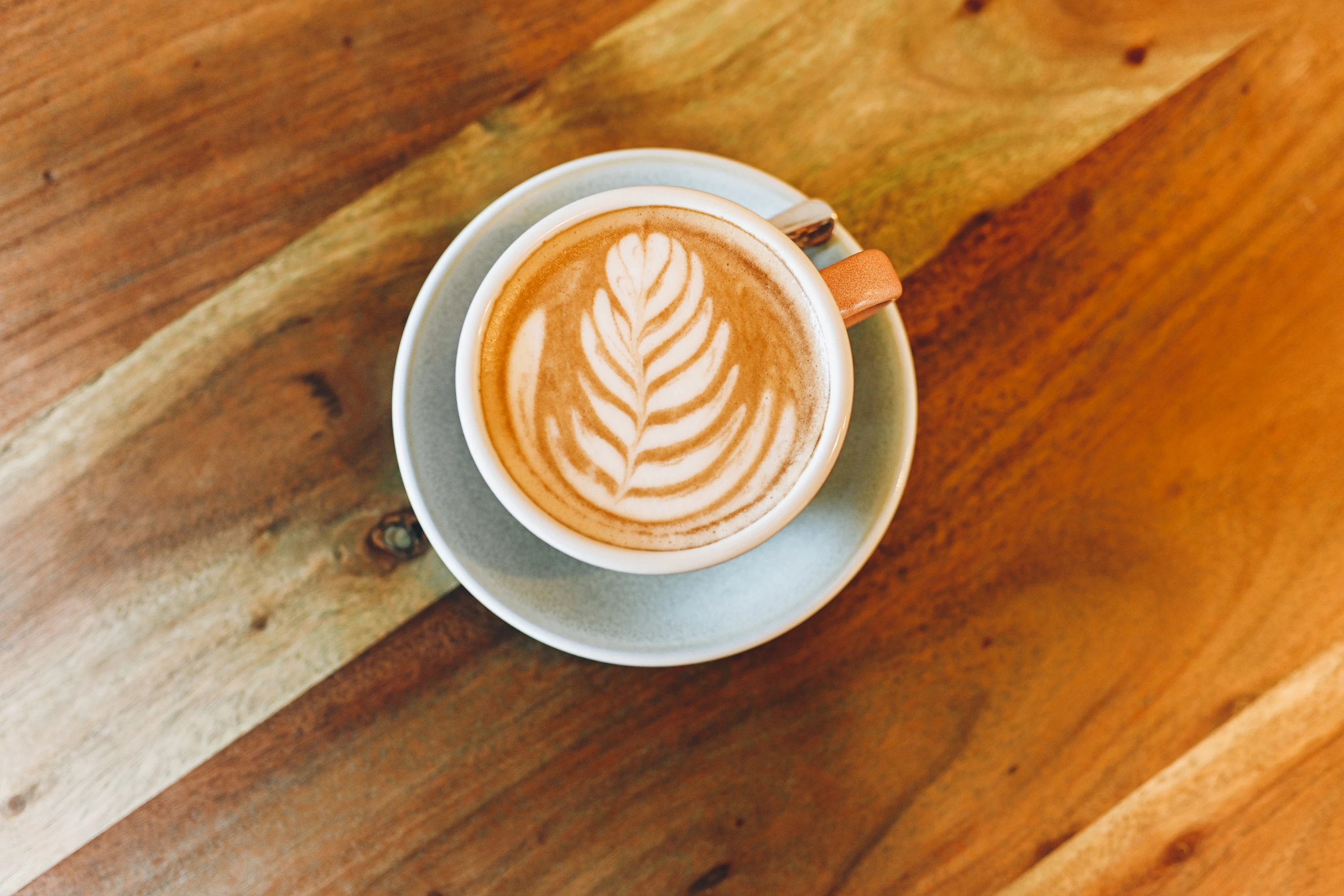 Oxe Coffee