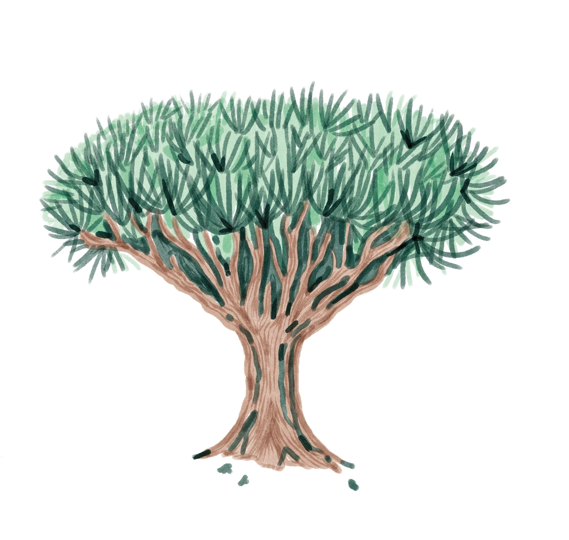 'Herb&aacute;rio &ndash; Um passeio po&eacute;tico pelo jardim', de Capicua