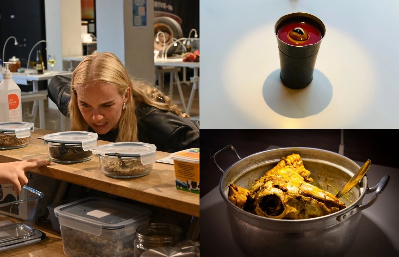 Disgusting Food Museum