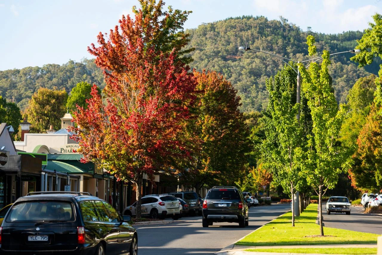 Bright streetscape in autumn