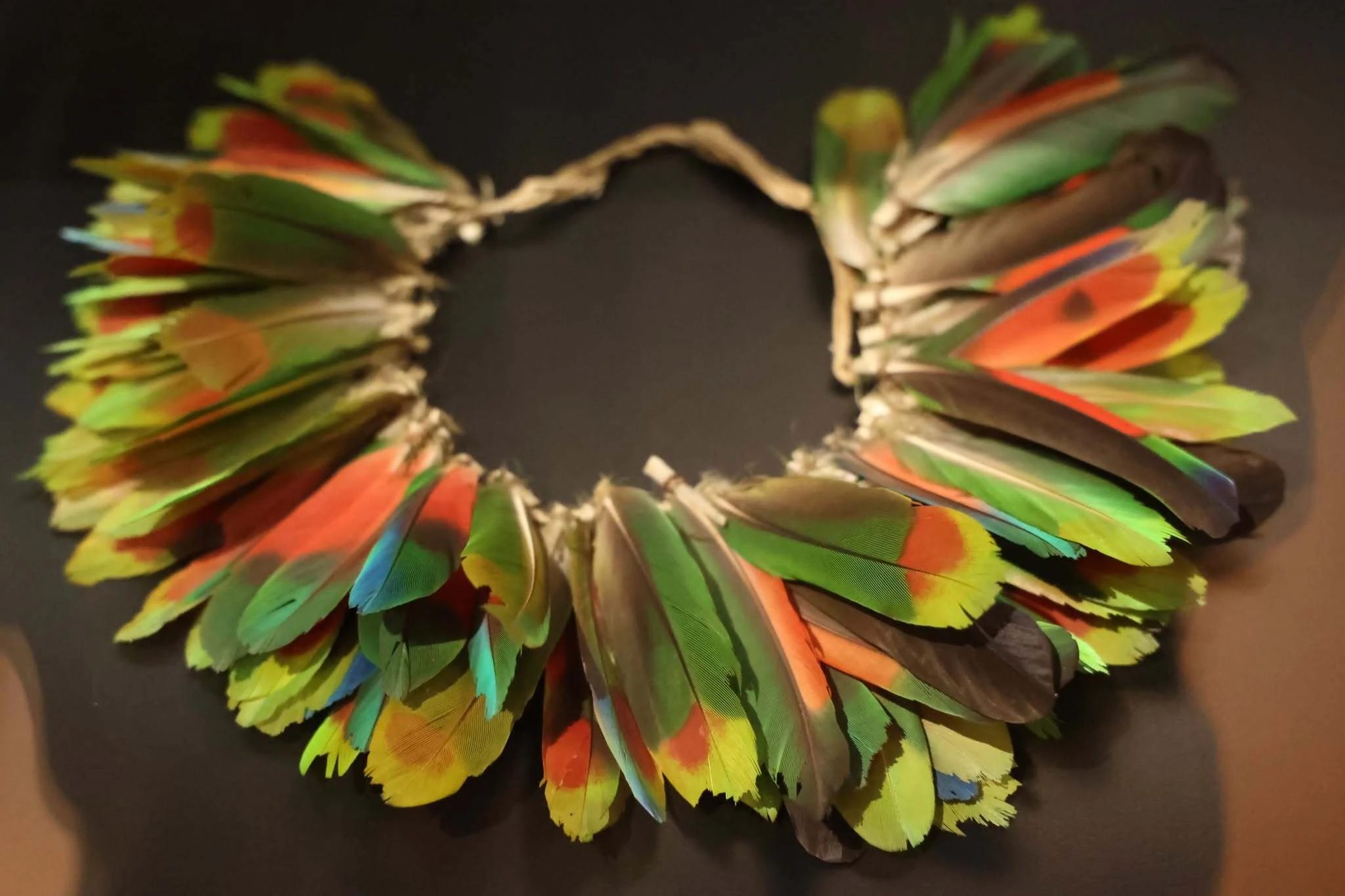 Arte plumario: naturaleza, identidad y poder