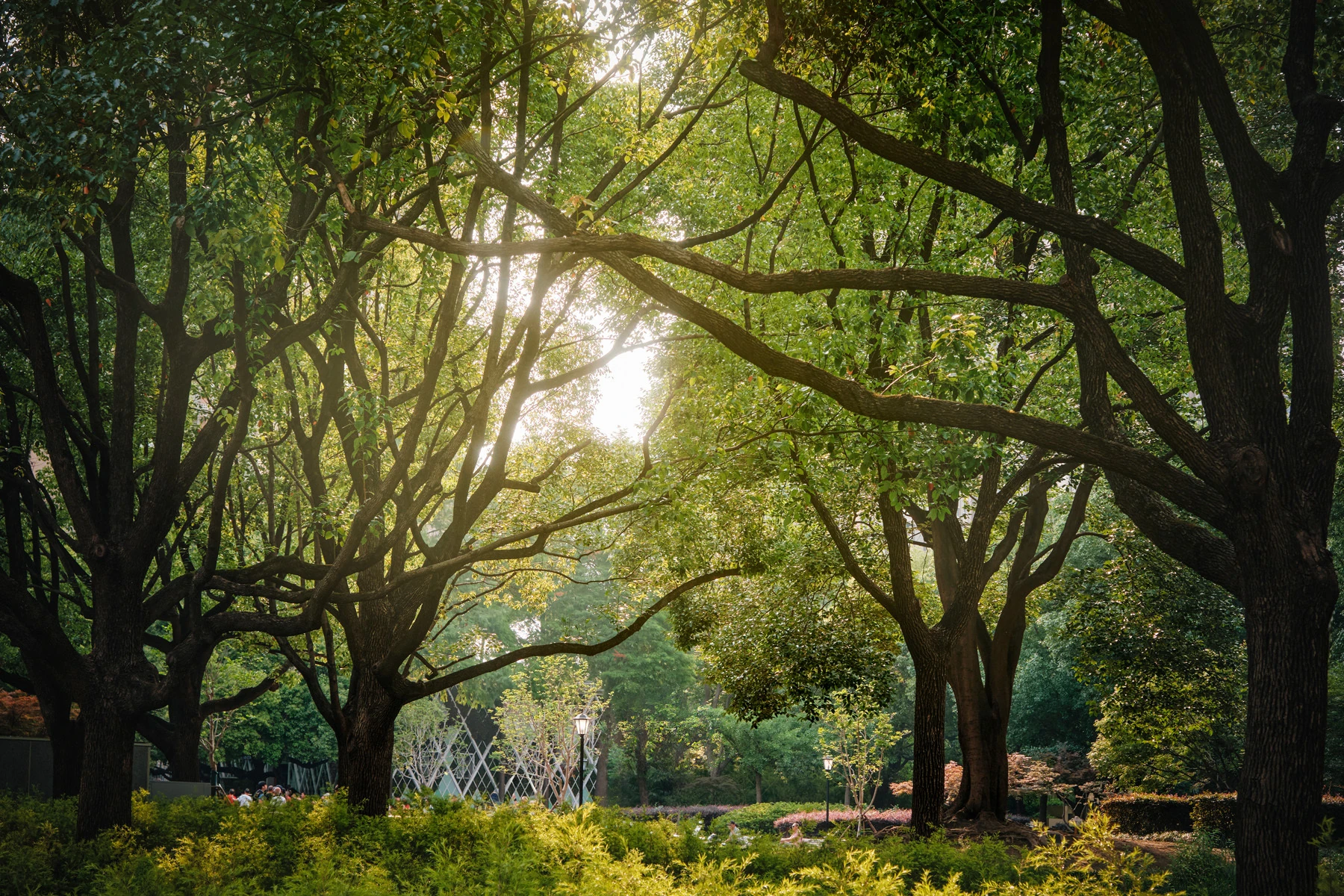 Zhongshan Park​ 