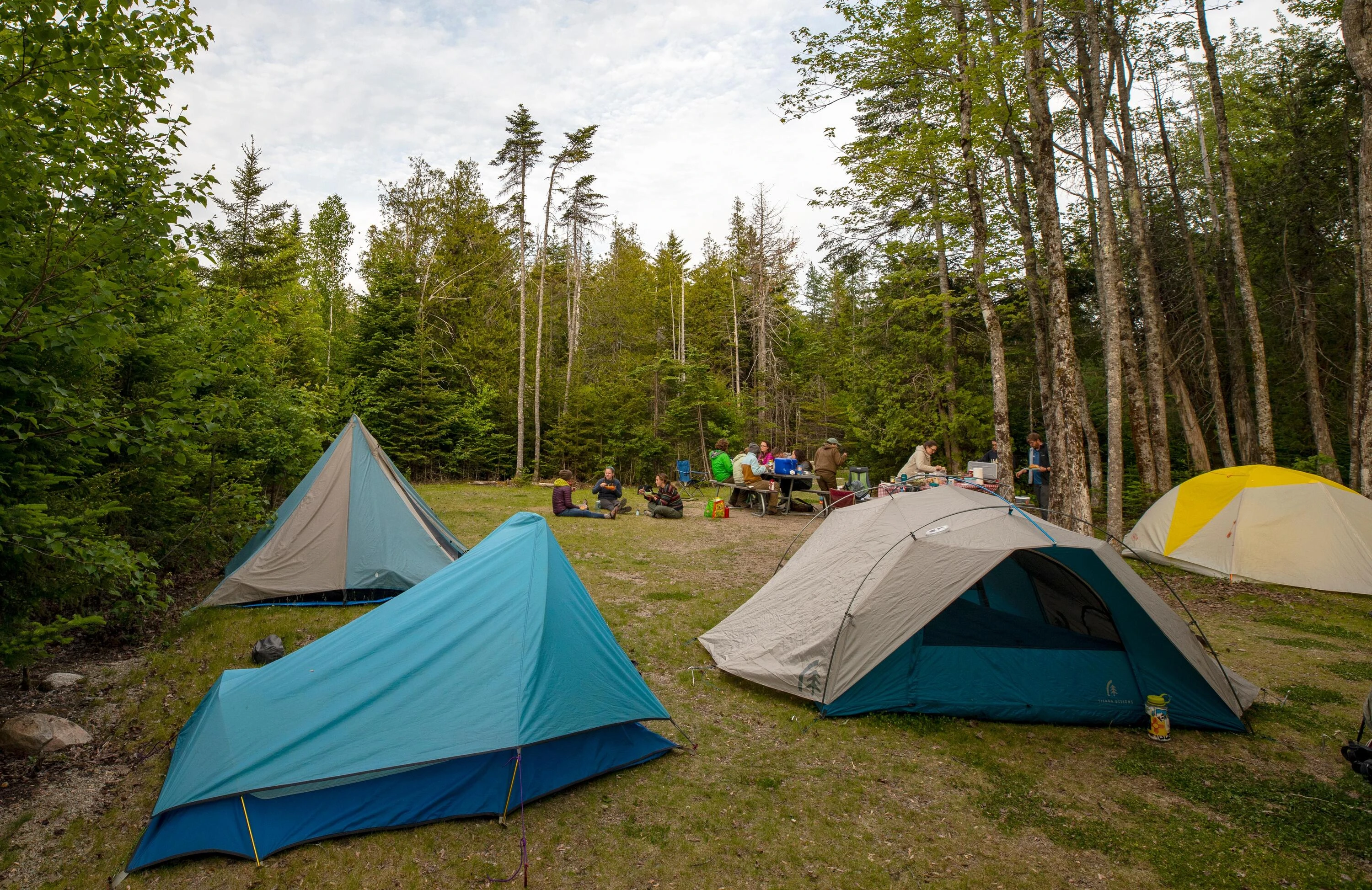 Schoodic Woods Campground