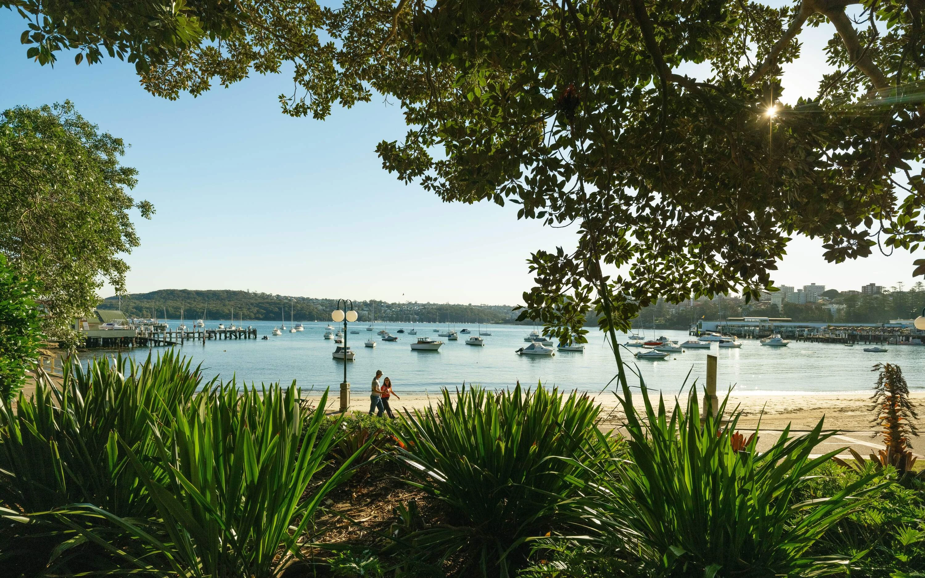 Manly Foreshore, Manly