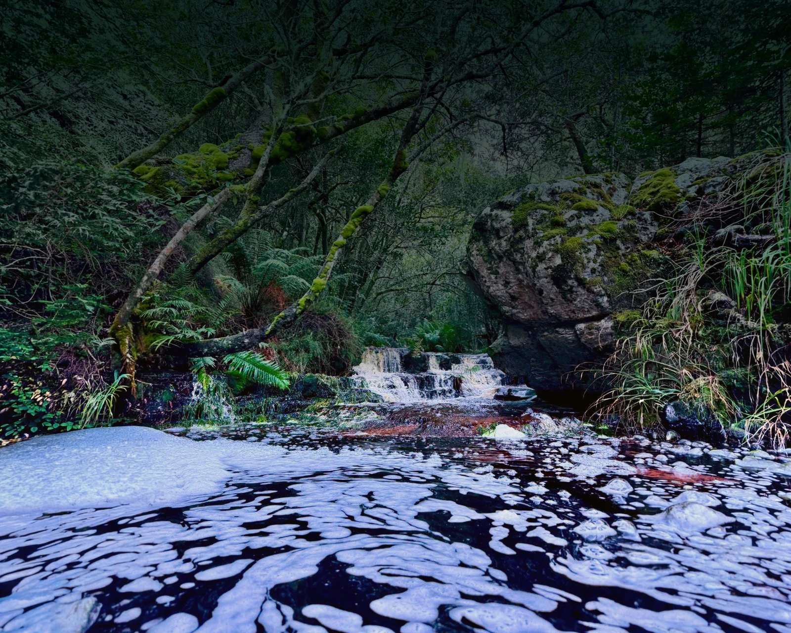 Guests can choose between exploring the Orangekloof Valley and Disa River