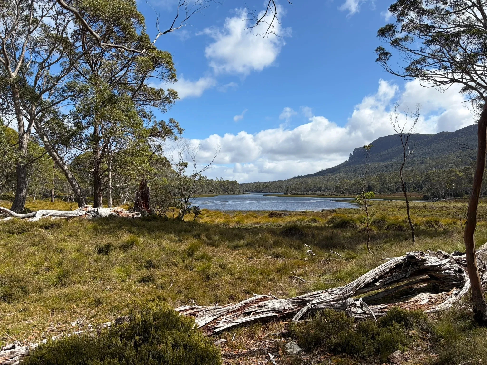 Arm River Track to New Pelion Hut
