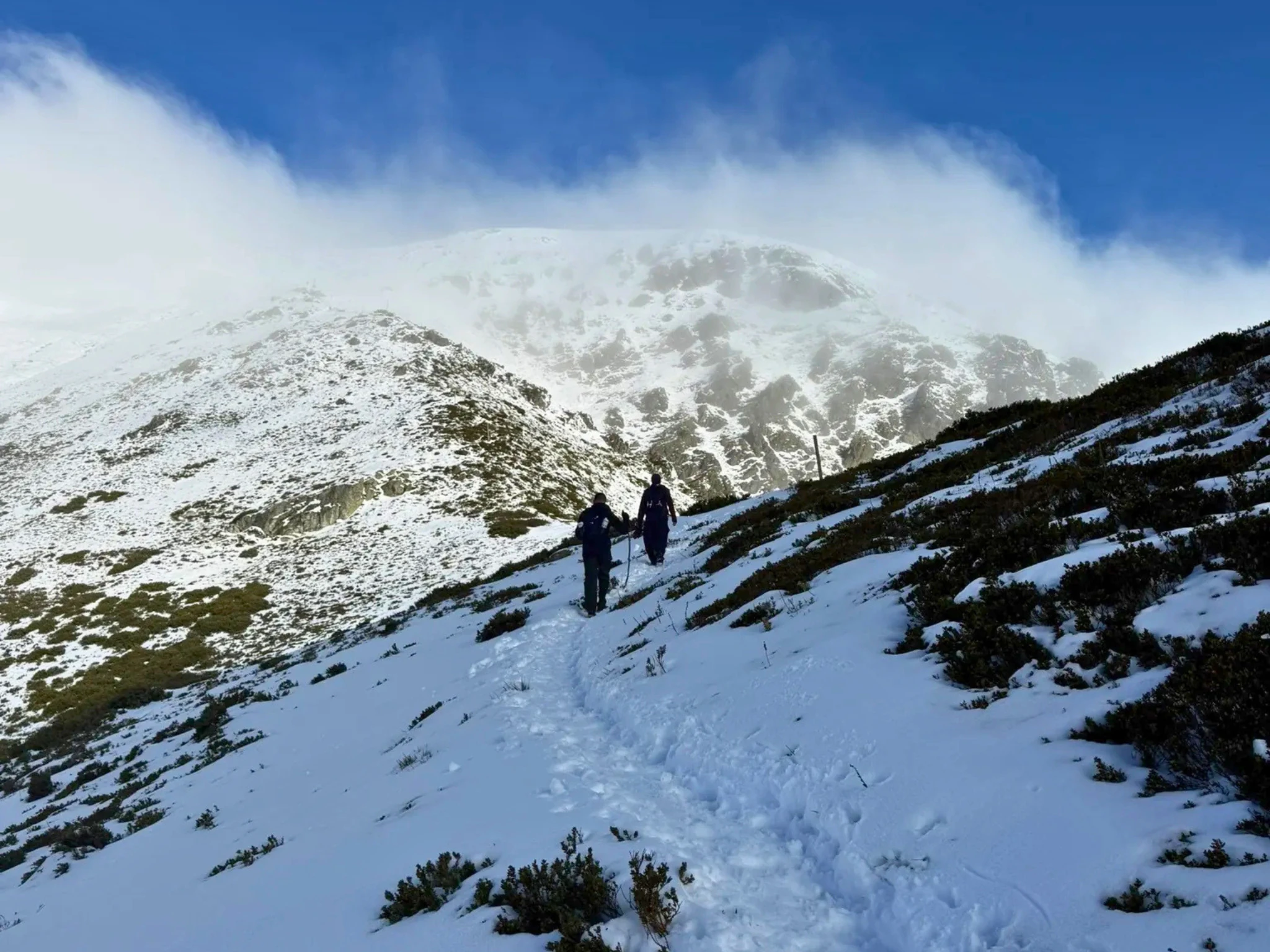 Mount Bogong Loop via Staircase Spur and Eskdale Spur Trail
