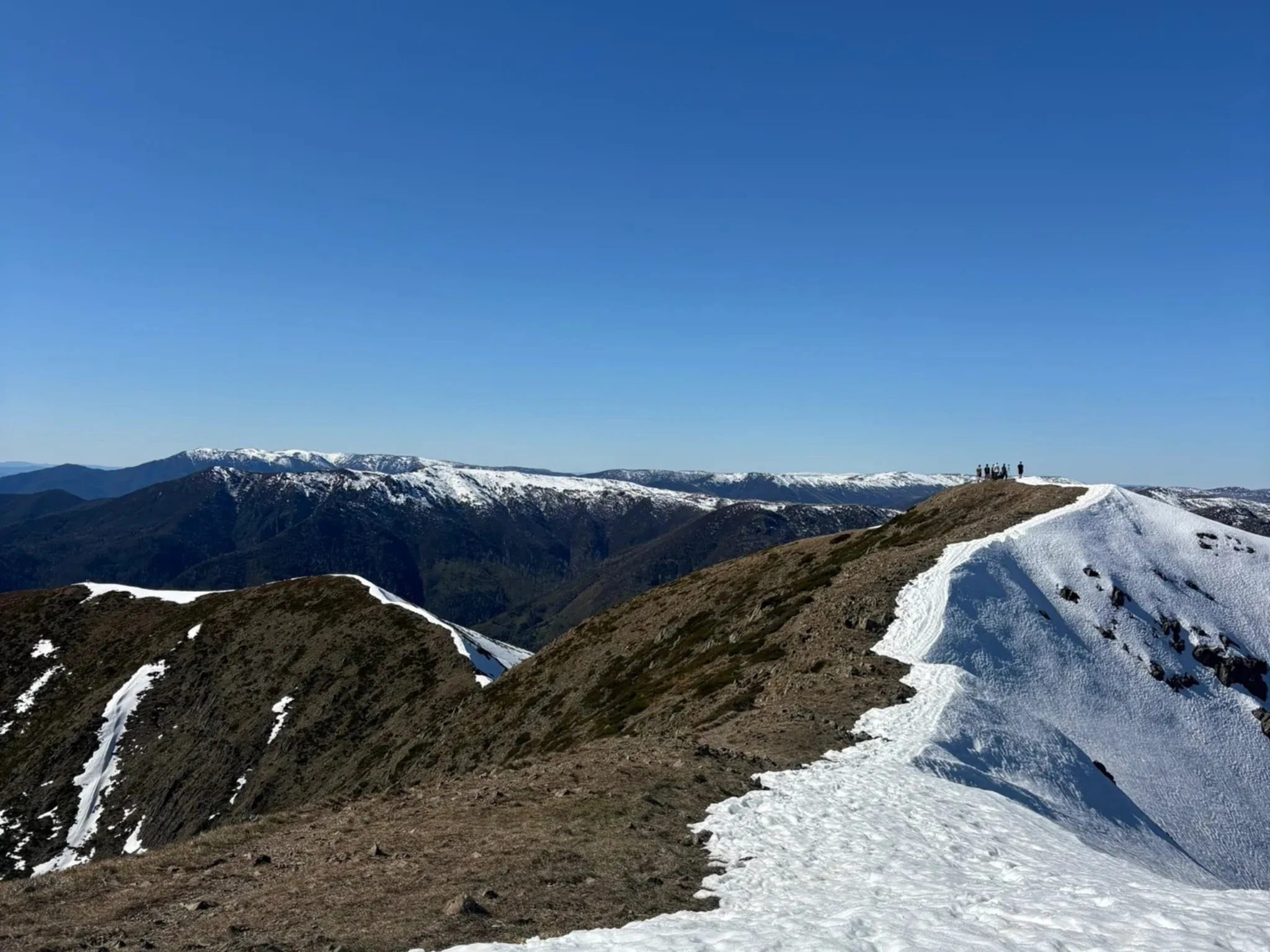 Mount Feathertop via The Razorback