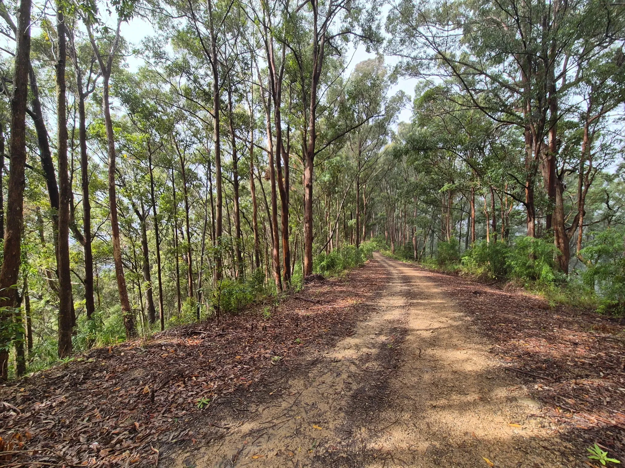 Northbrook Mountain