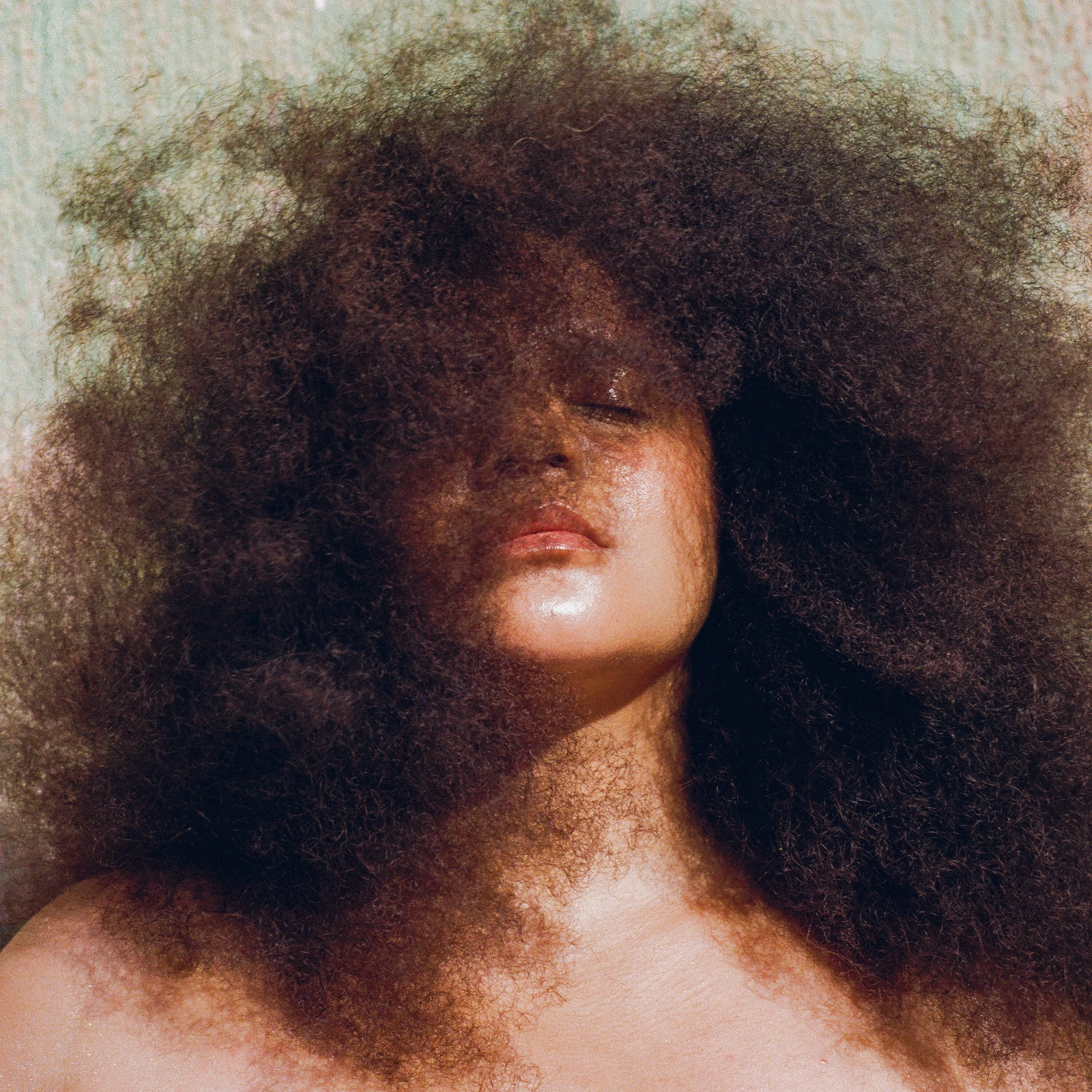 Lido Pimienta