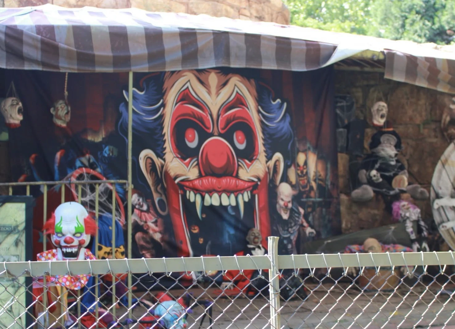 The Johannesburg Zo is ready for Halloween; are you?