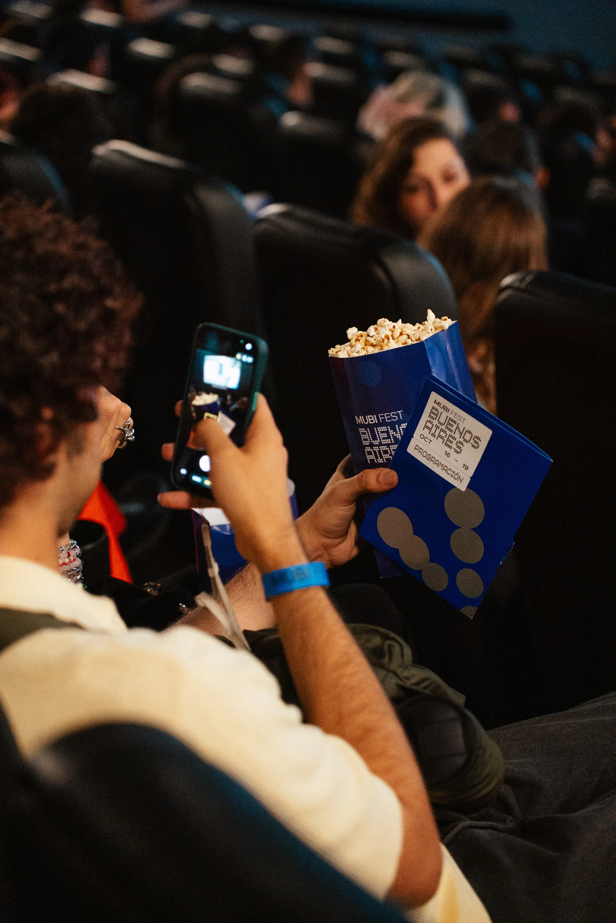 mubi-fest