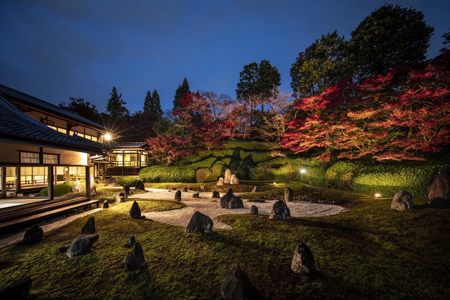 sibasi kyoto|Terry Riley - Moments from the Sound Current ‒