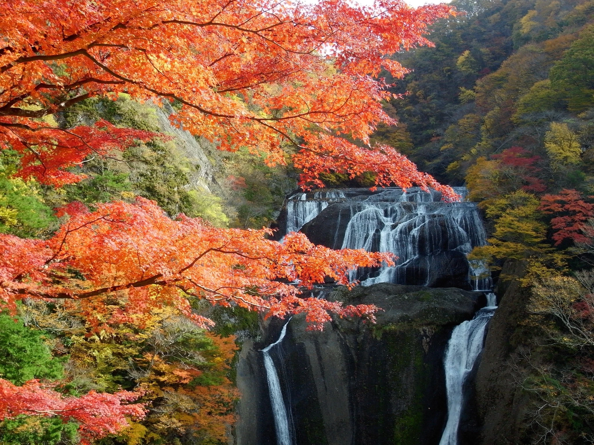 Fukuroda waterfall scenery with autumn leaves