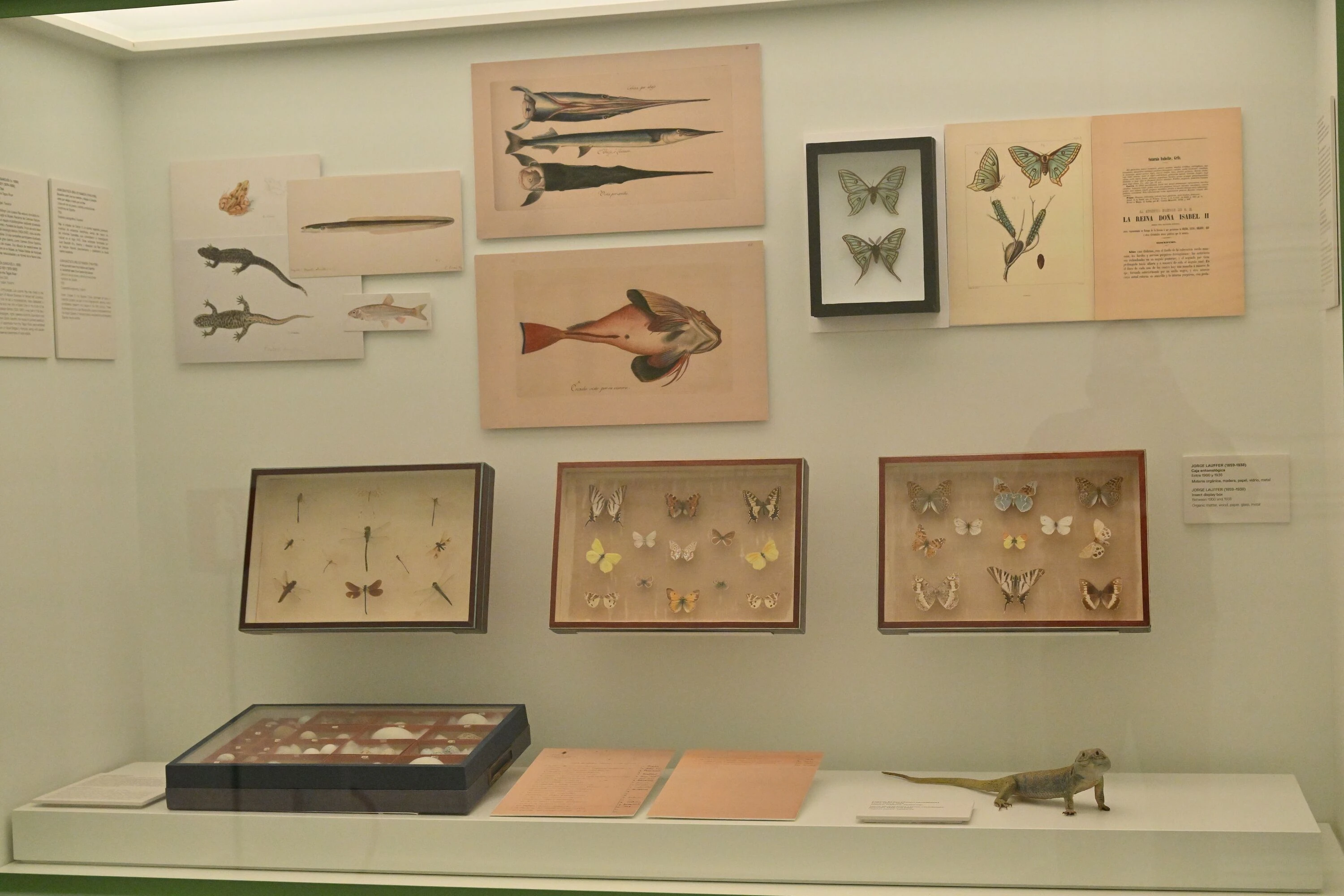 Museo del Patrimonio Natural