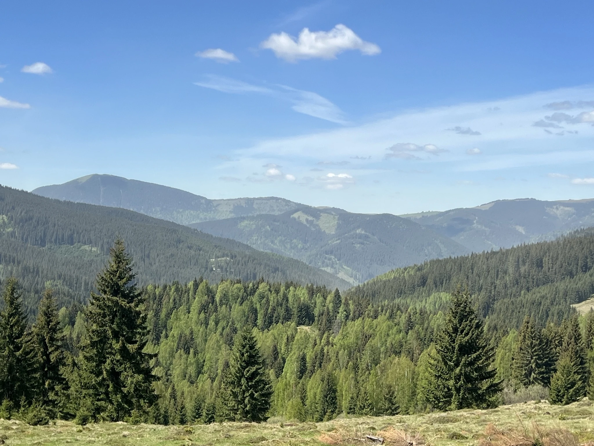 The dense alpine hills of Bucovina, Romania