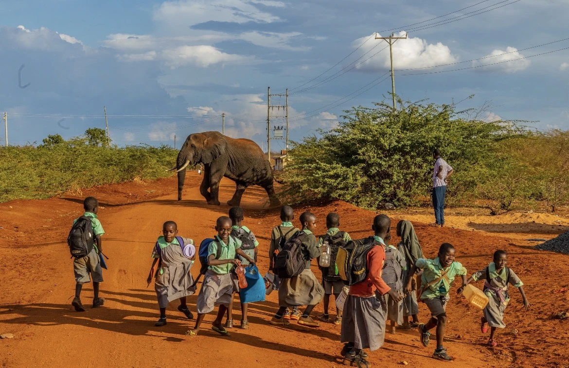 Anthony Ochieng - Our Elephant Neighbours
