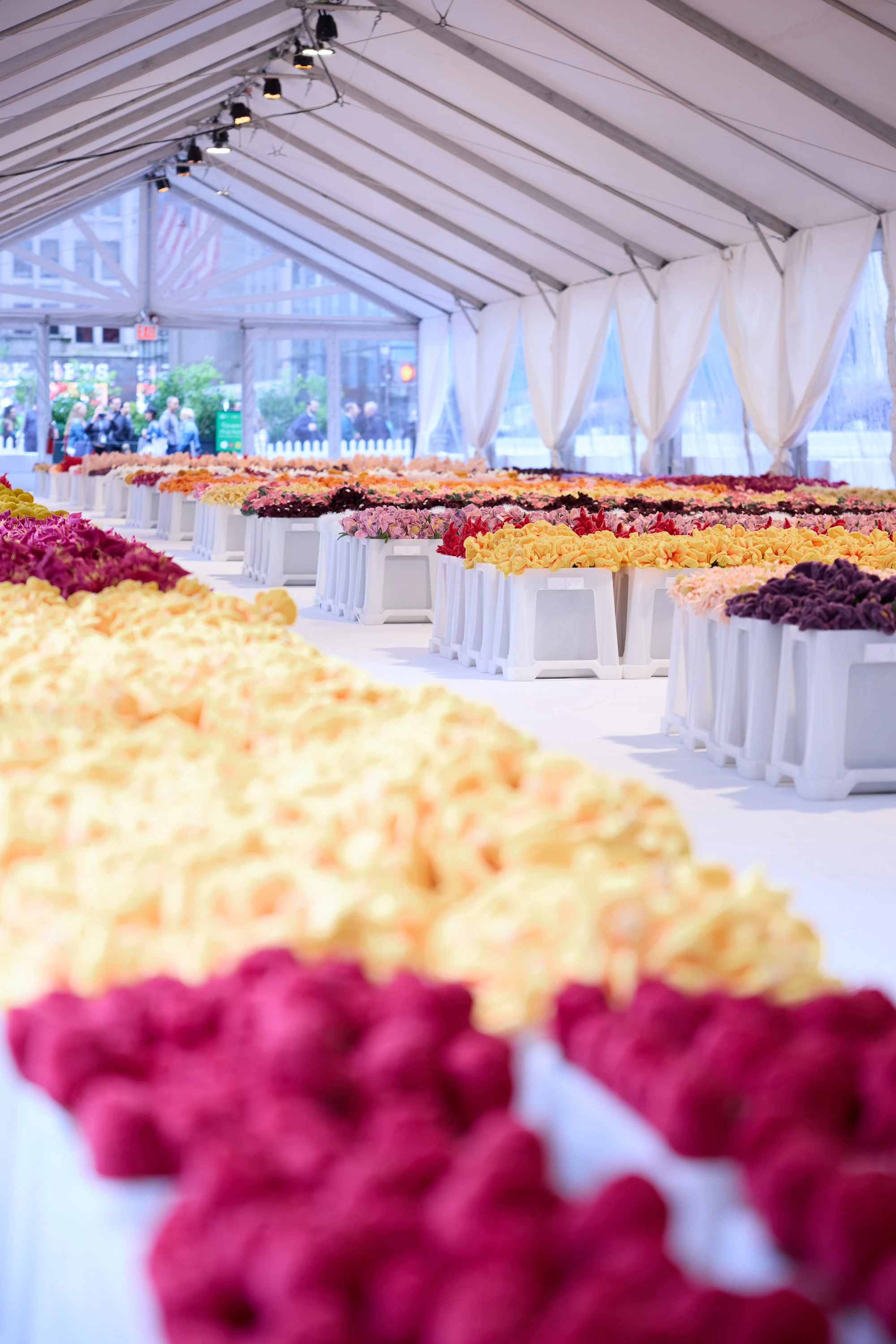 CJ Hendry Flower Market Brooklyn