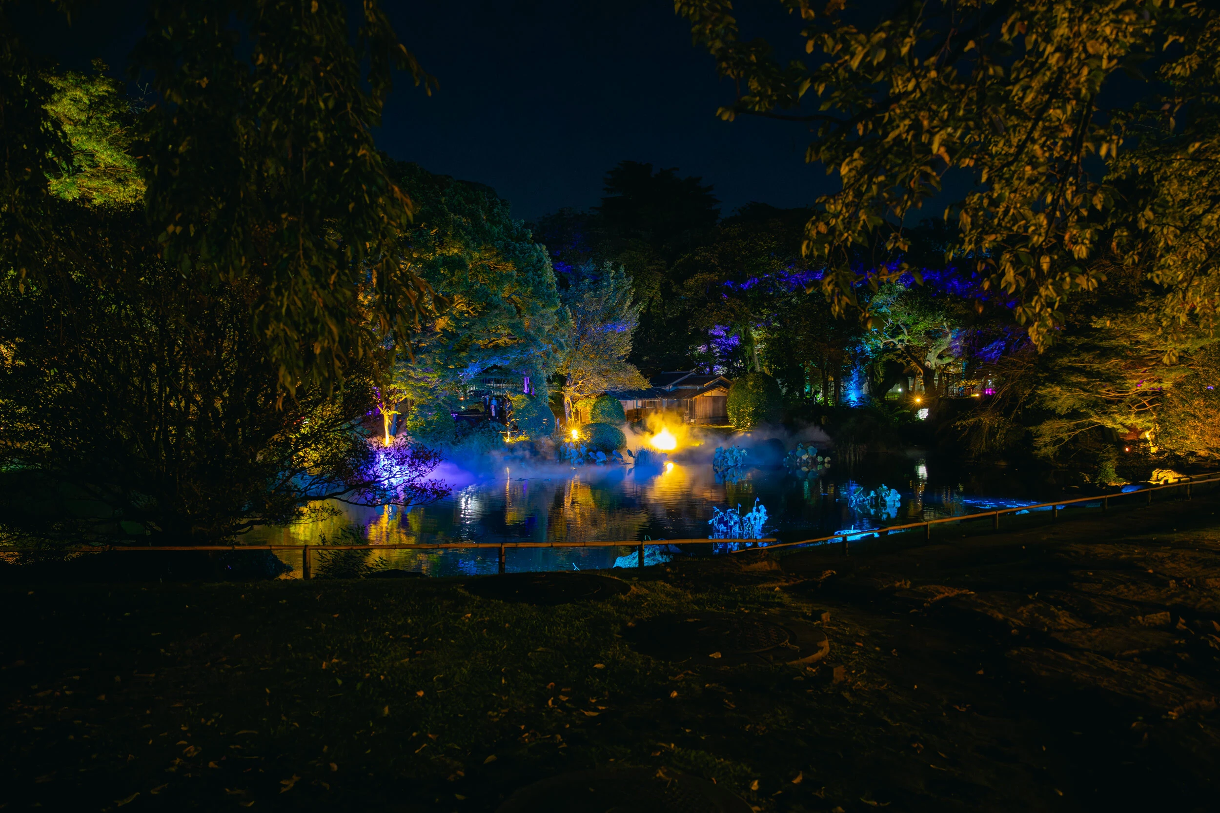 Zen Night Tokyo