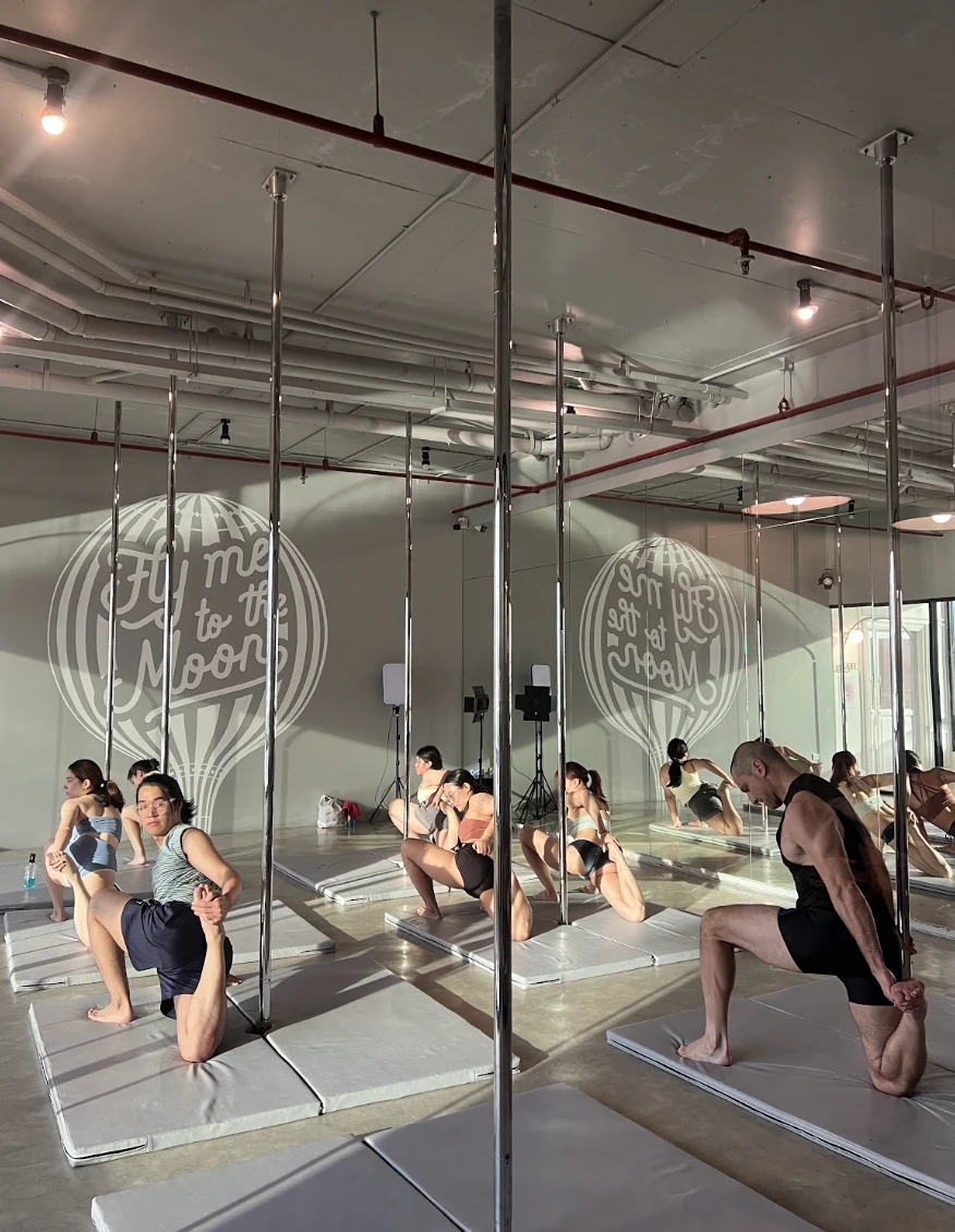 Fly Me to the Moon Pole & Aerial Studio