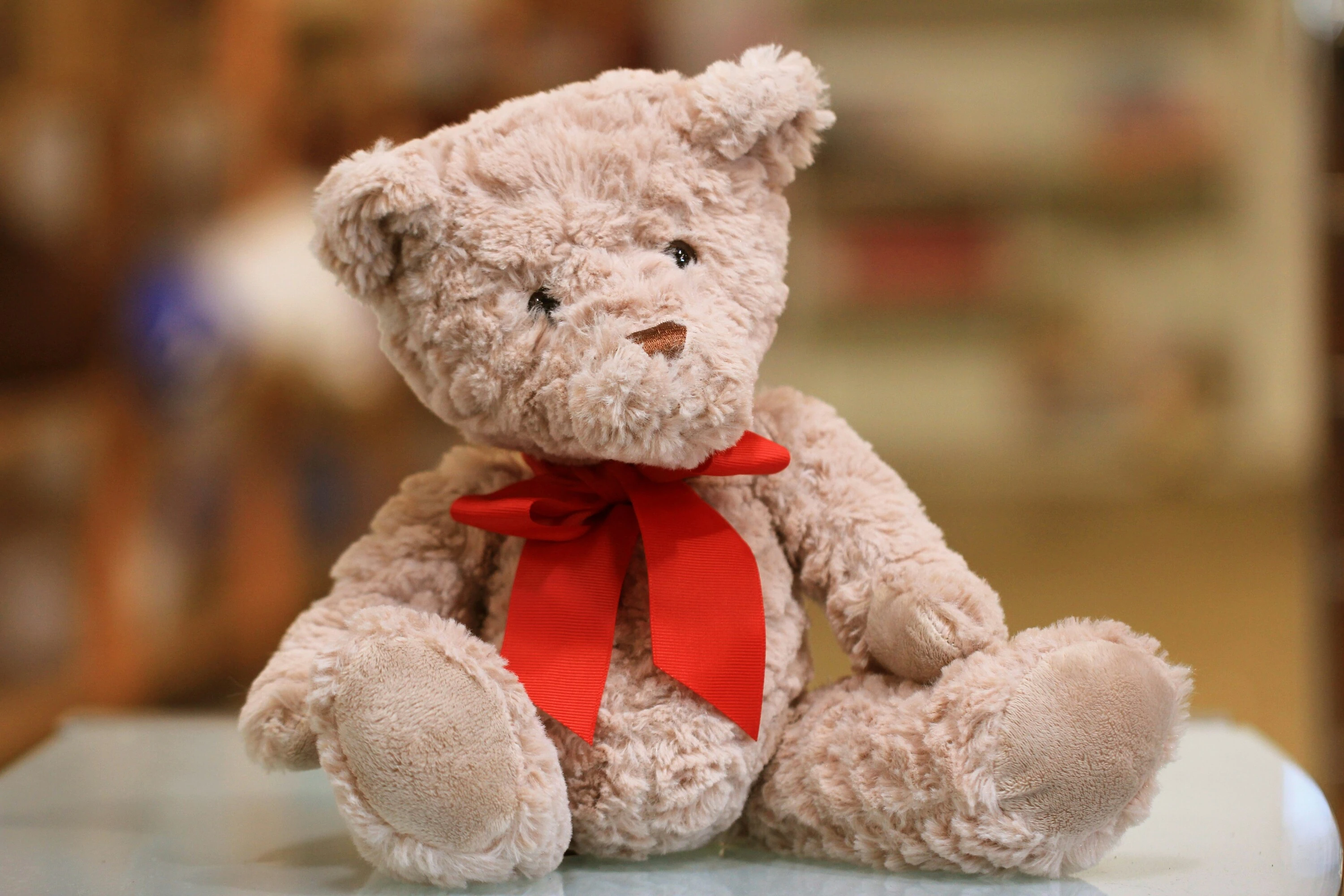 Build-a-Bear X Panarottis Tyger Valley Play Date