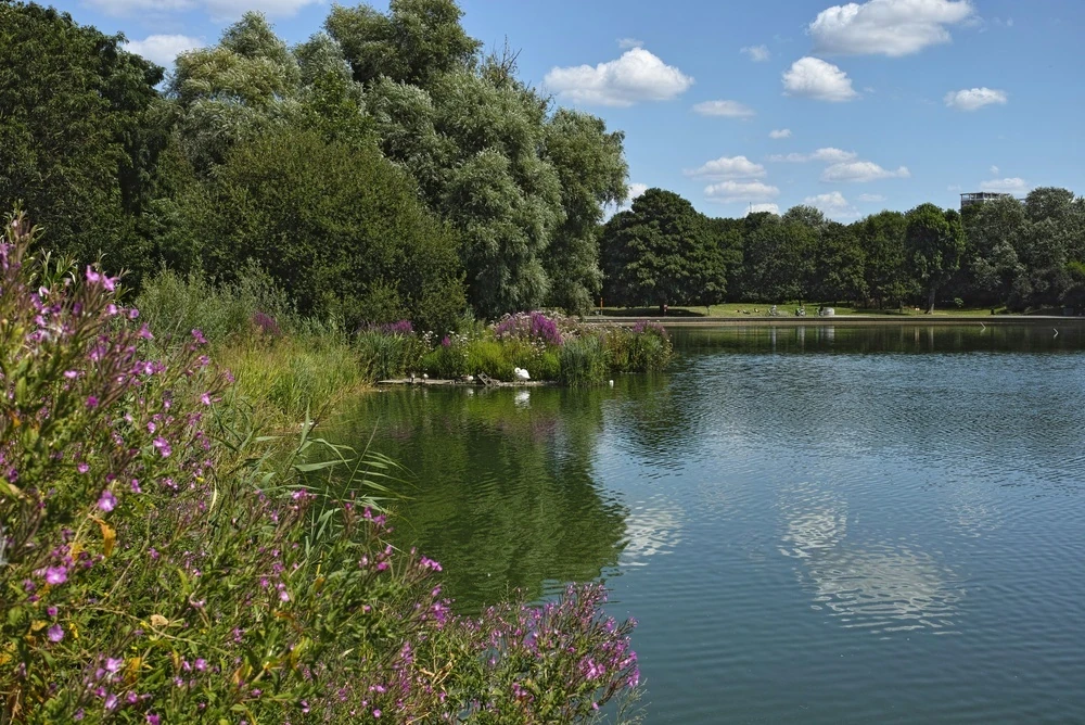Burgess Park