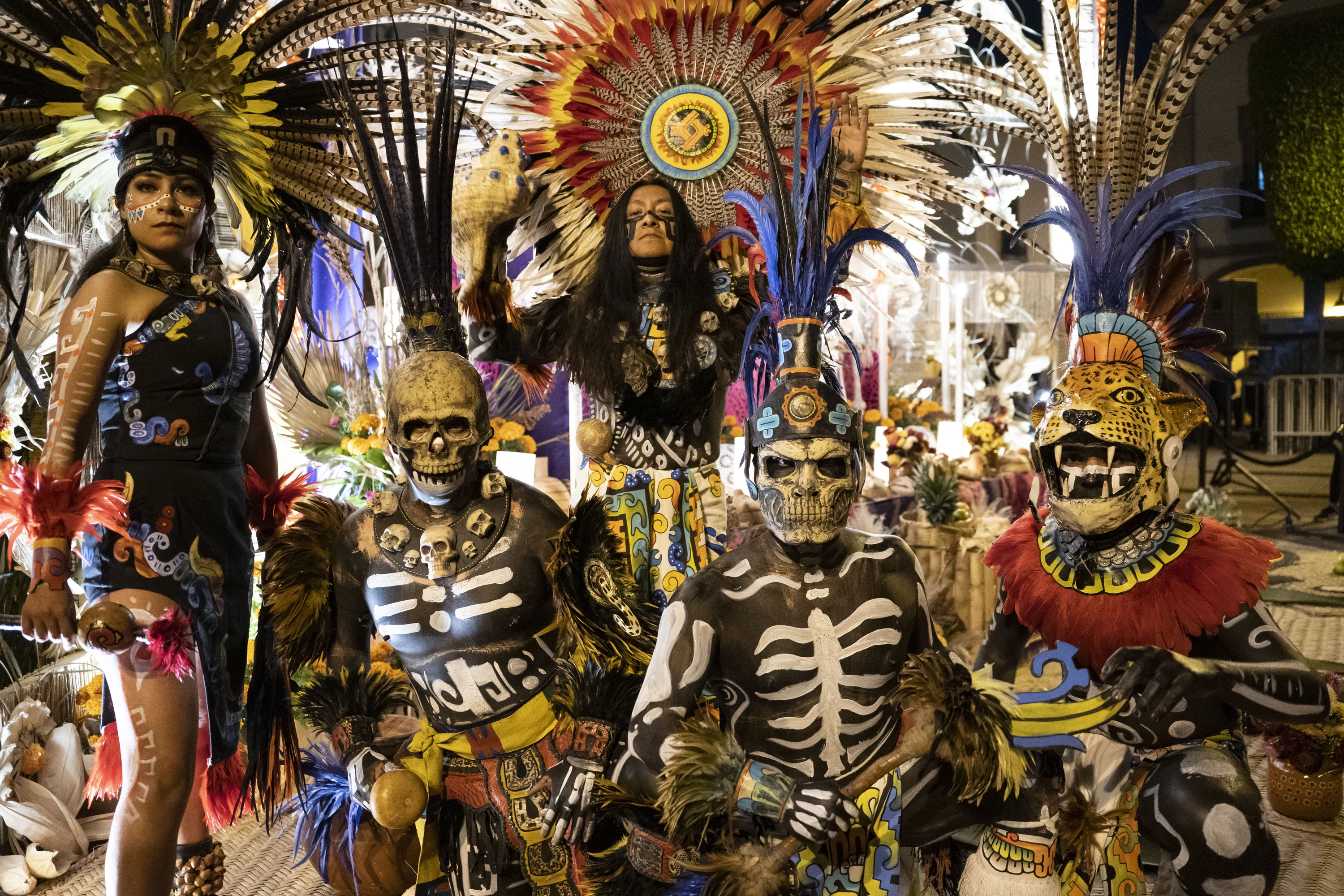 &Aacute;nima Fest