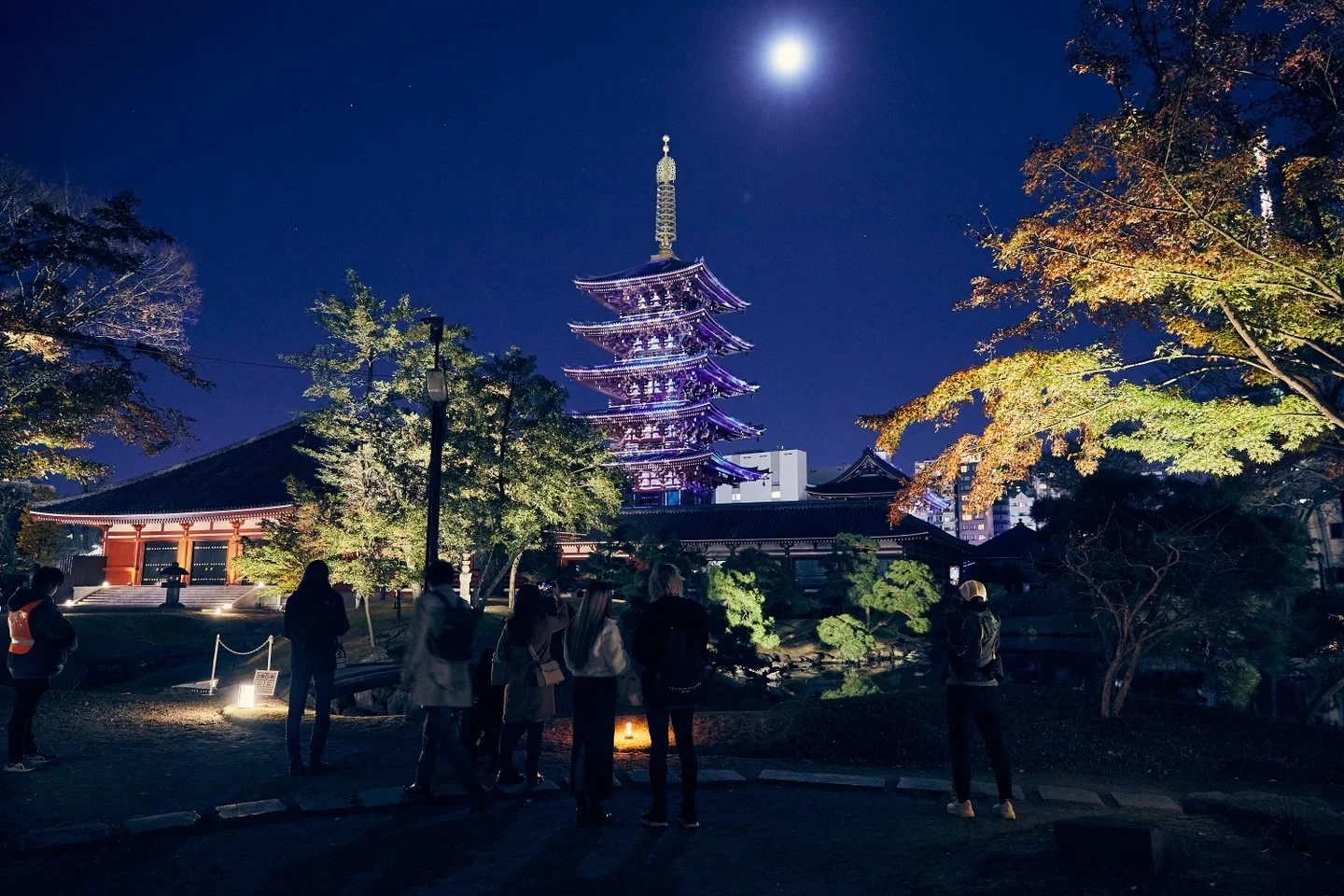ASAKUSA CULTURE & LIGHTS 2026