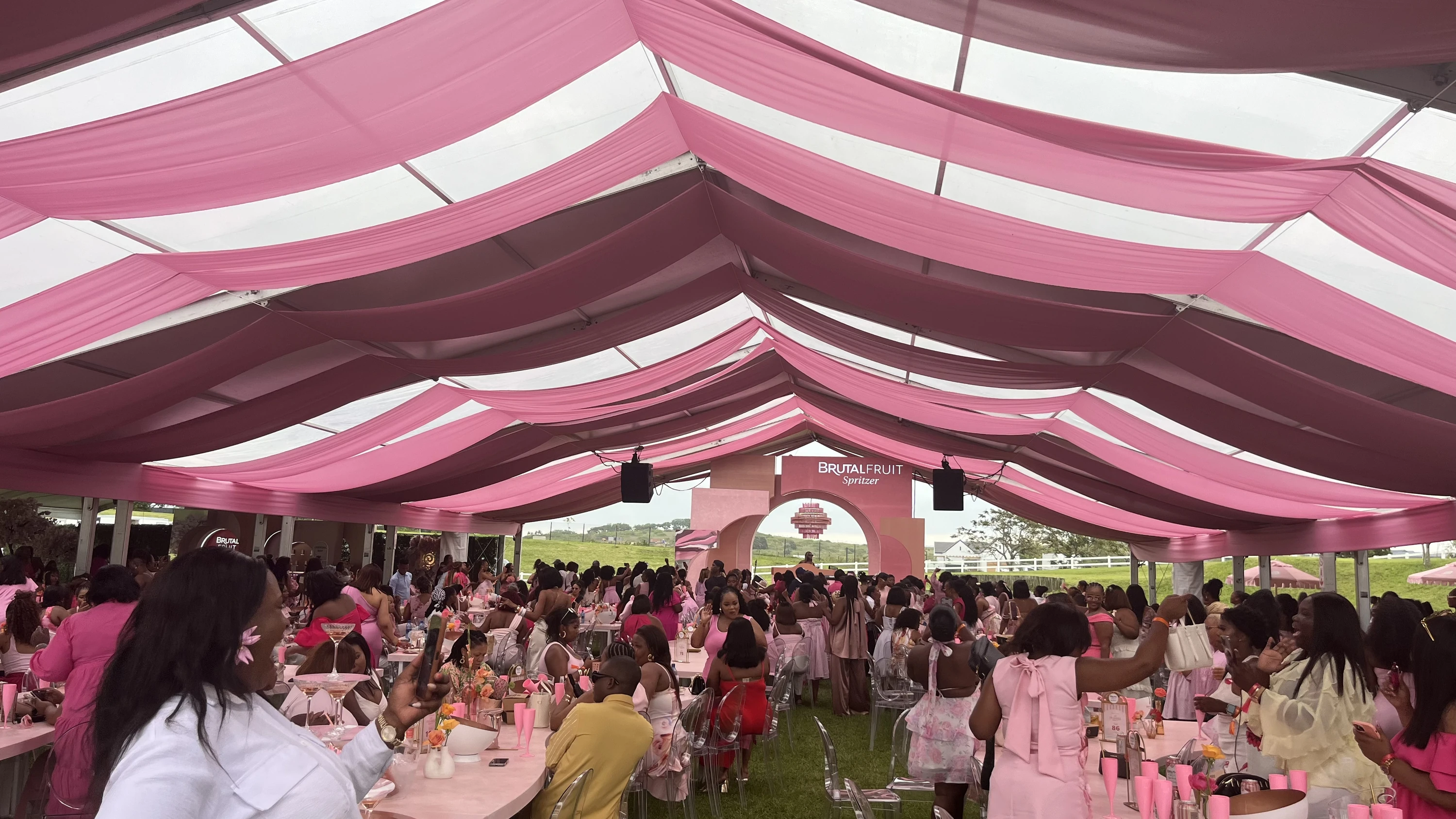 Pink overhead, pink around the tables. Guests settle into an afternoon of music and company.
