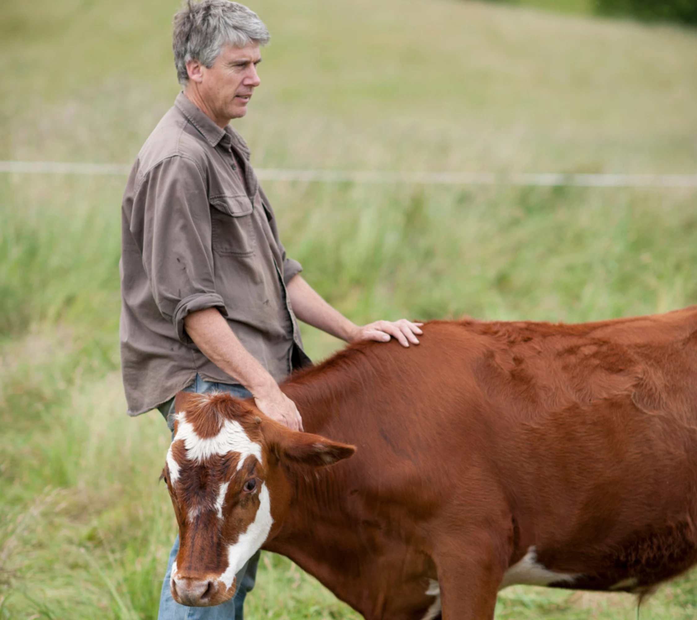 Farmer and cow
