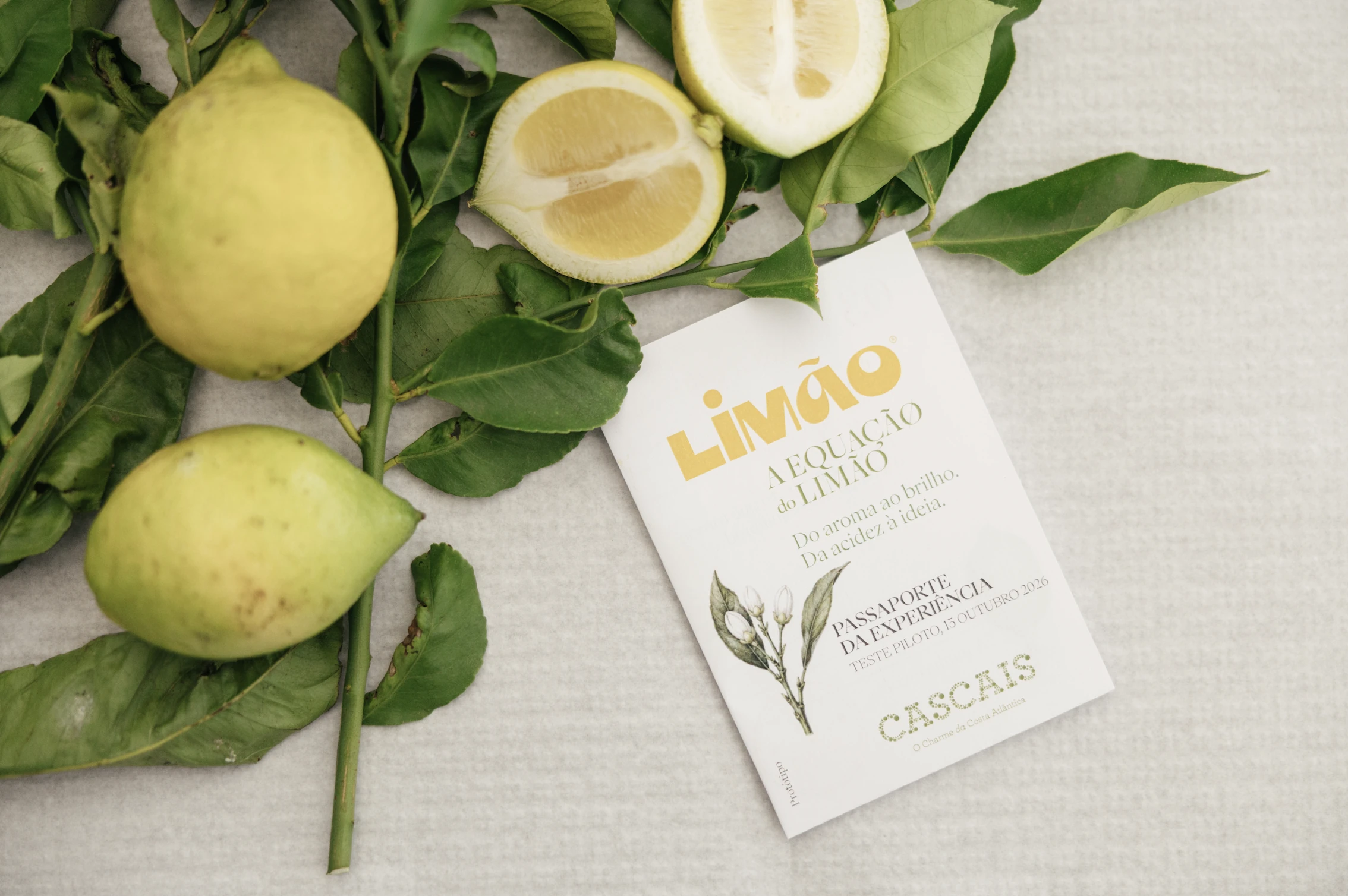 A Equa&ccedil;&atilde;o do Lim&atilde;o no Cascais Food Lab
