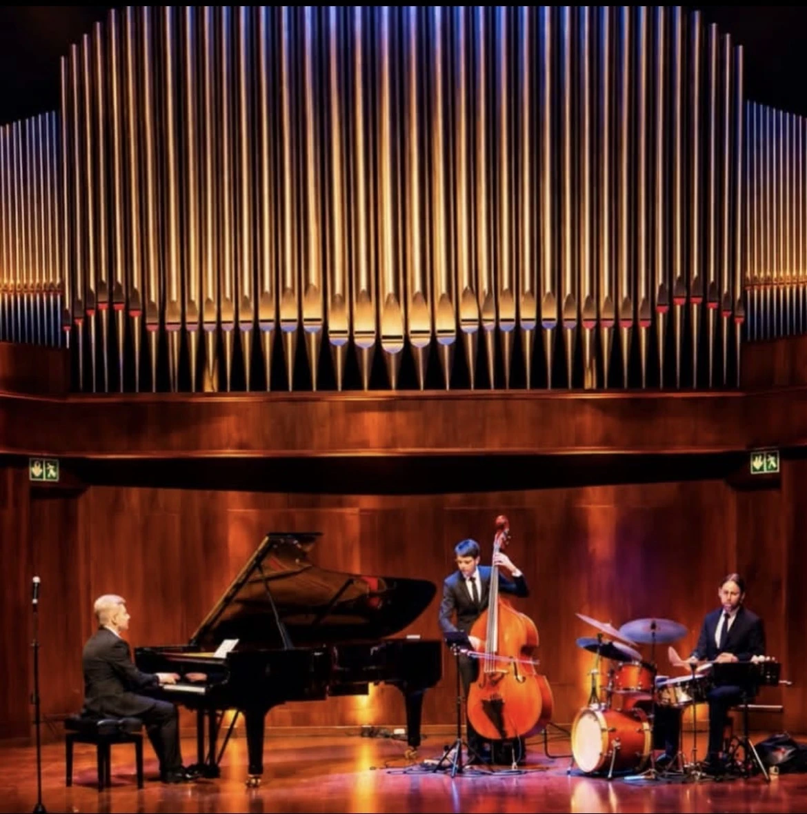 Charl Du Plessis Trio