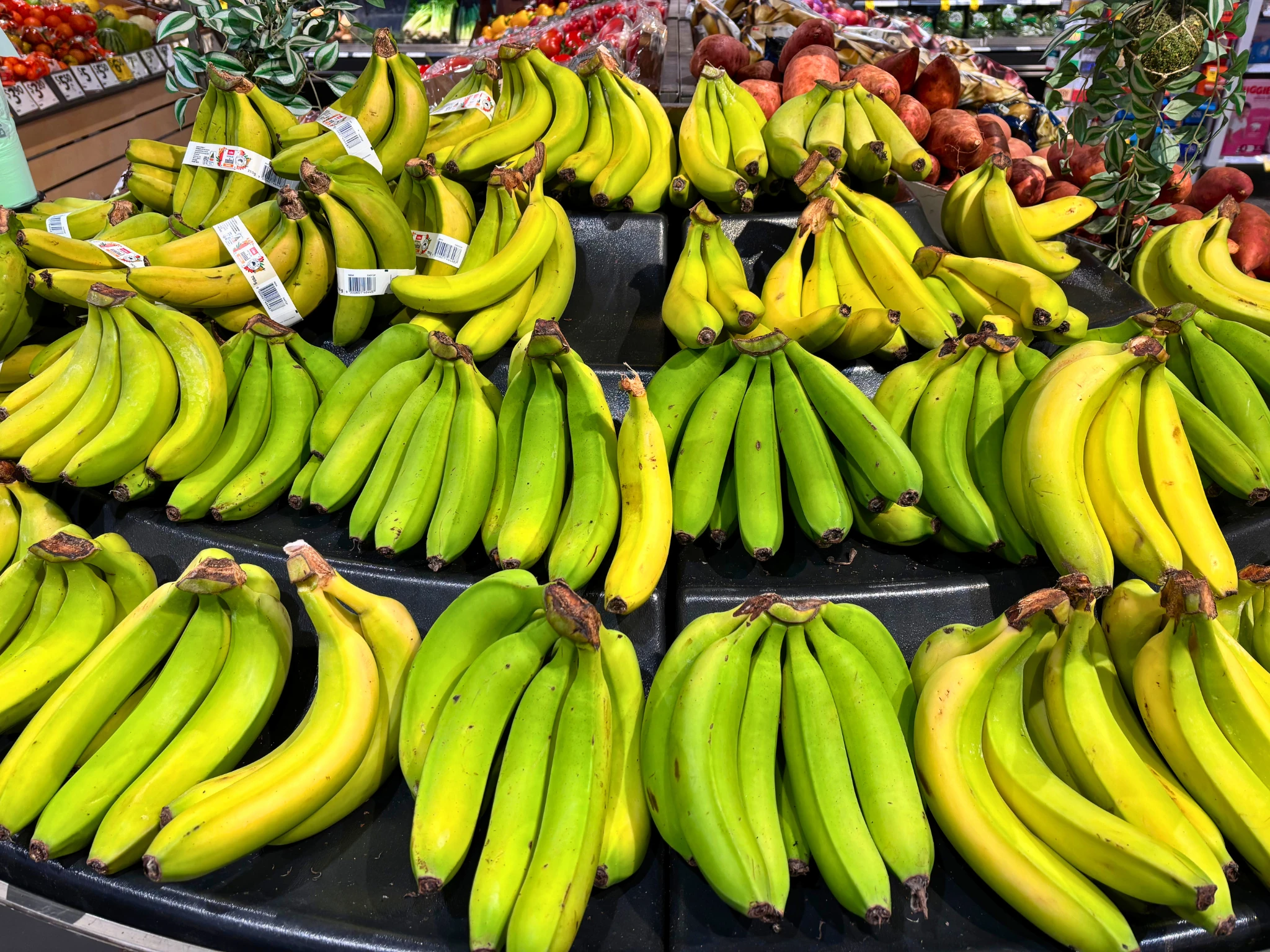 Bananas in supermarket