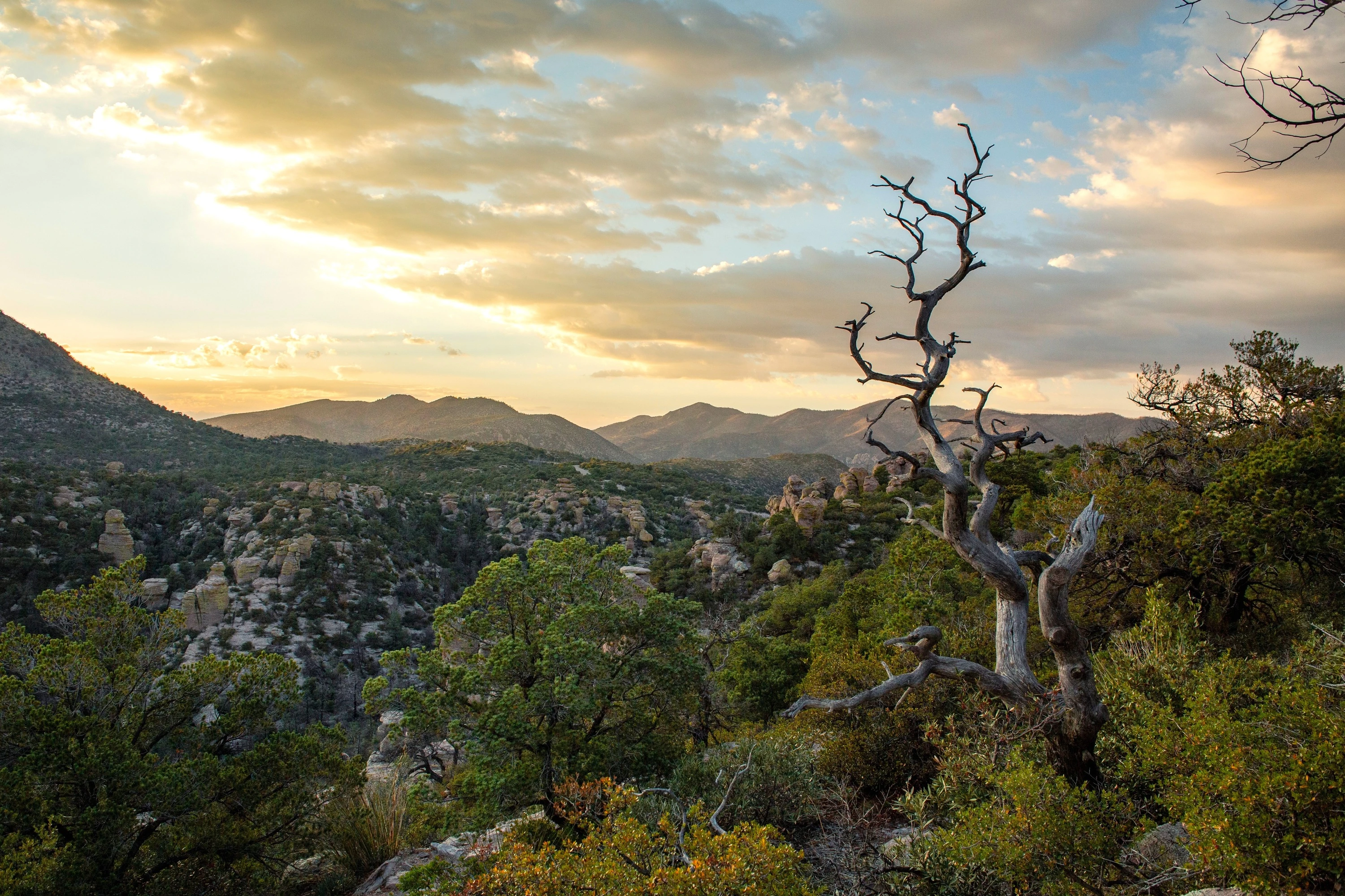 Chiricahua National Monument in Arizona