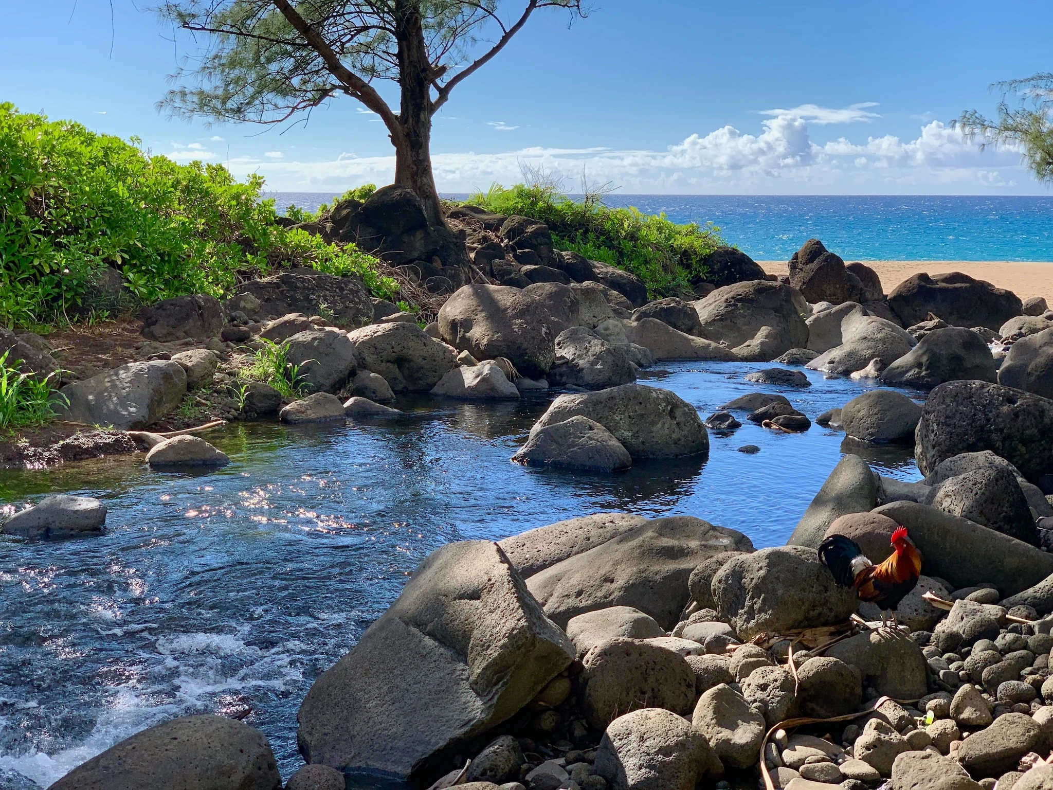Kauai