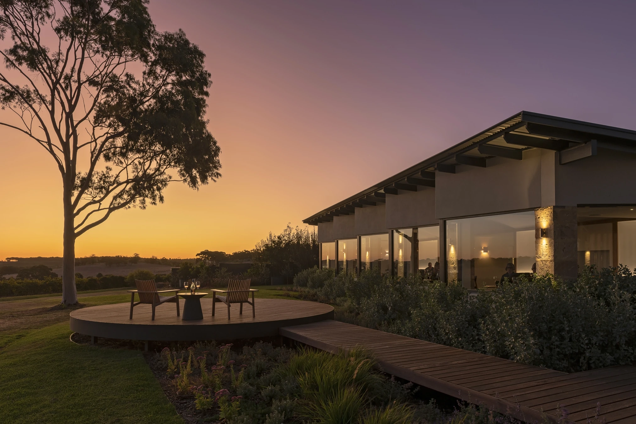 Sunset at vineyard