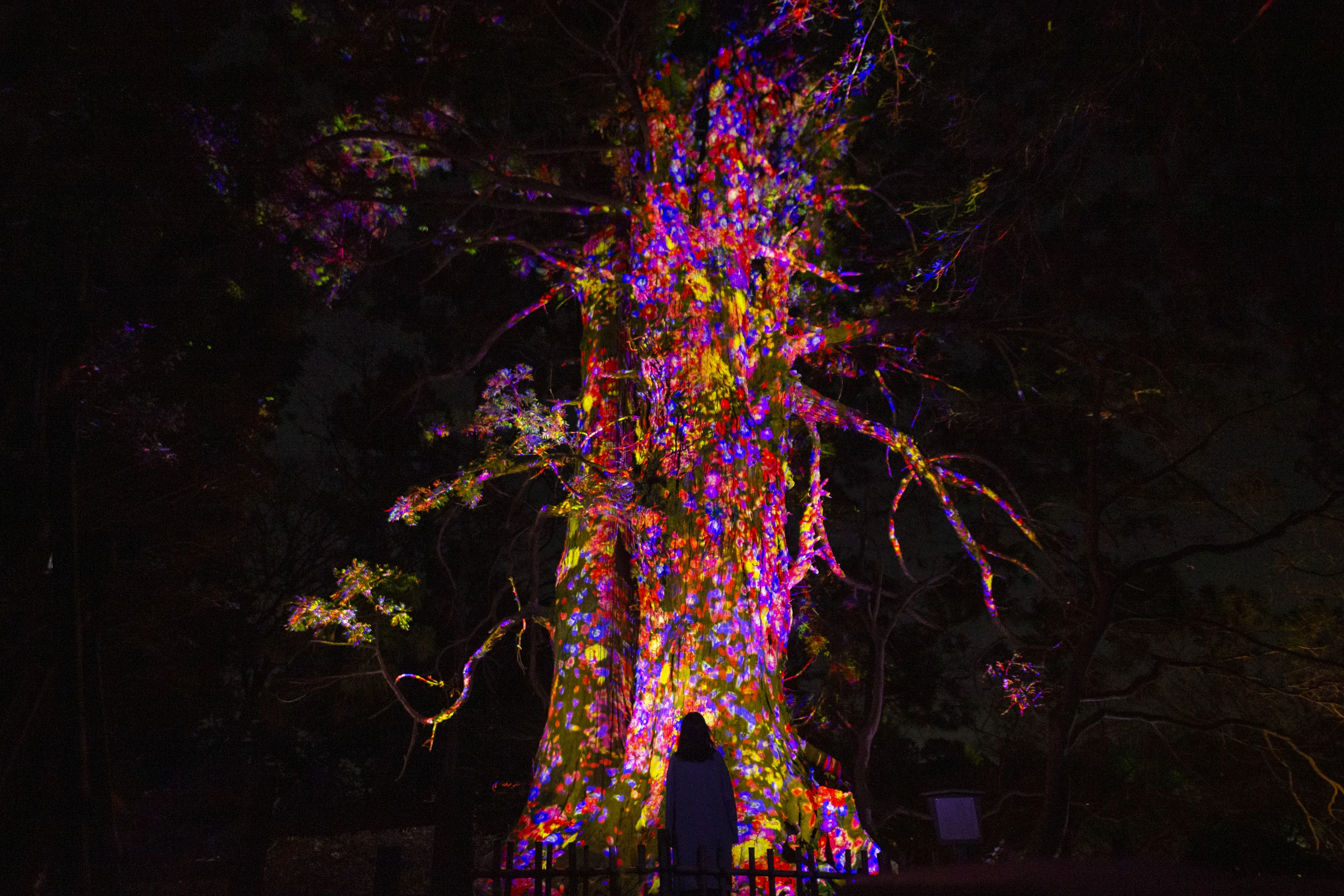 In photos: teamLab is hosting an immersive nighttime art exhibit at Fukuoka Castle