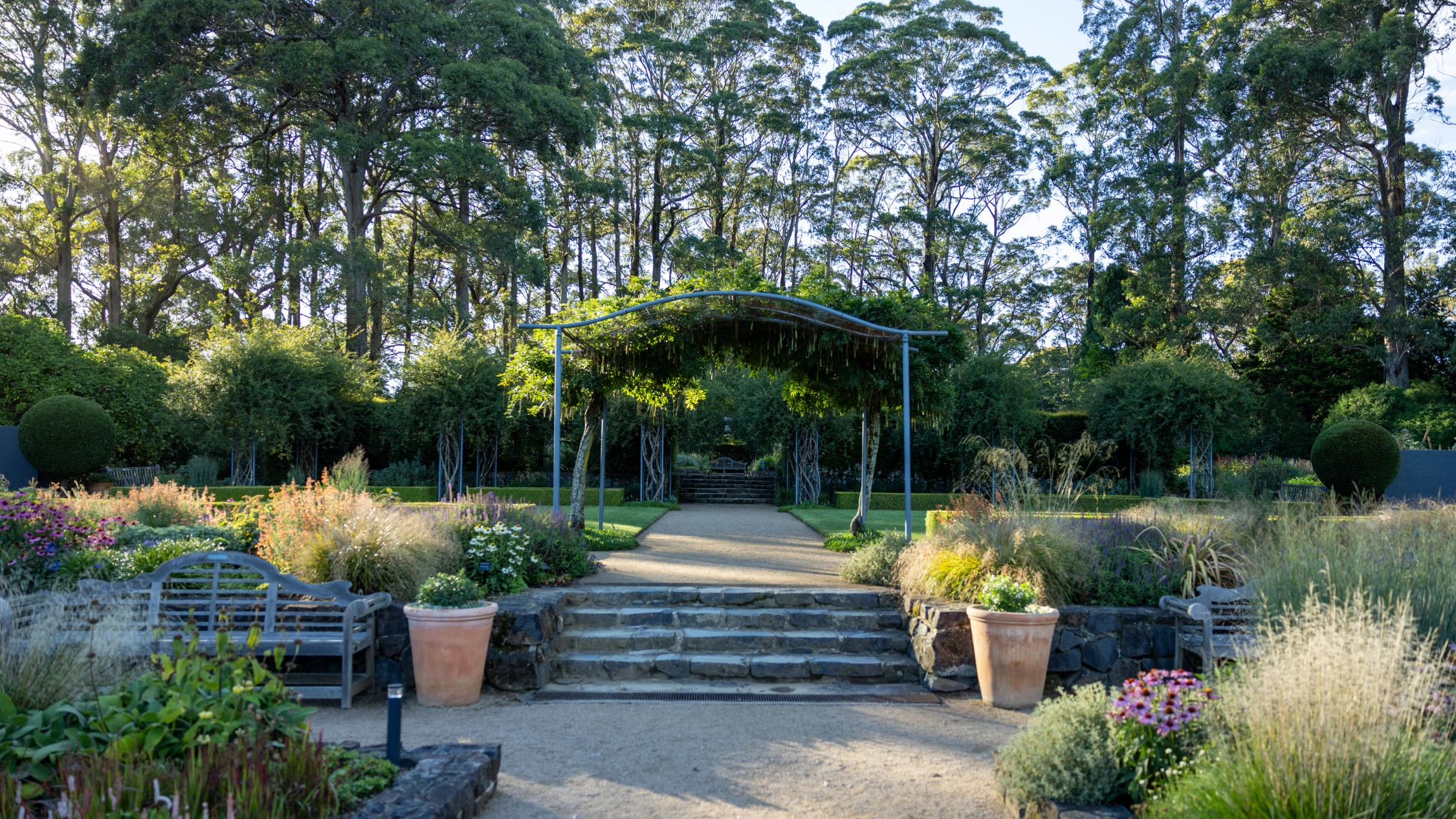 Blue Mountains Botanic Garden Mount Tomah