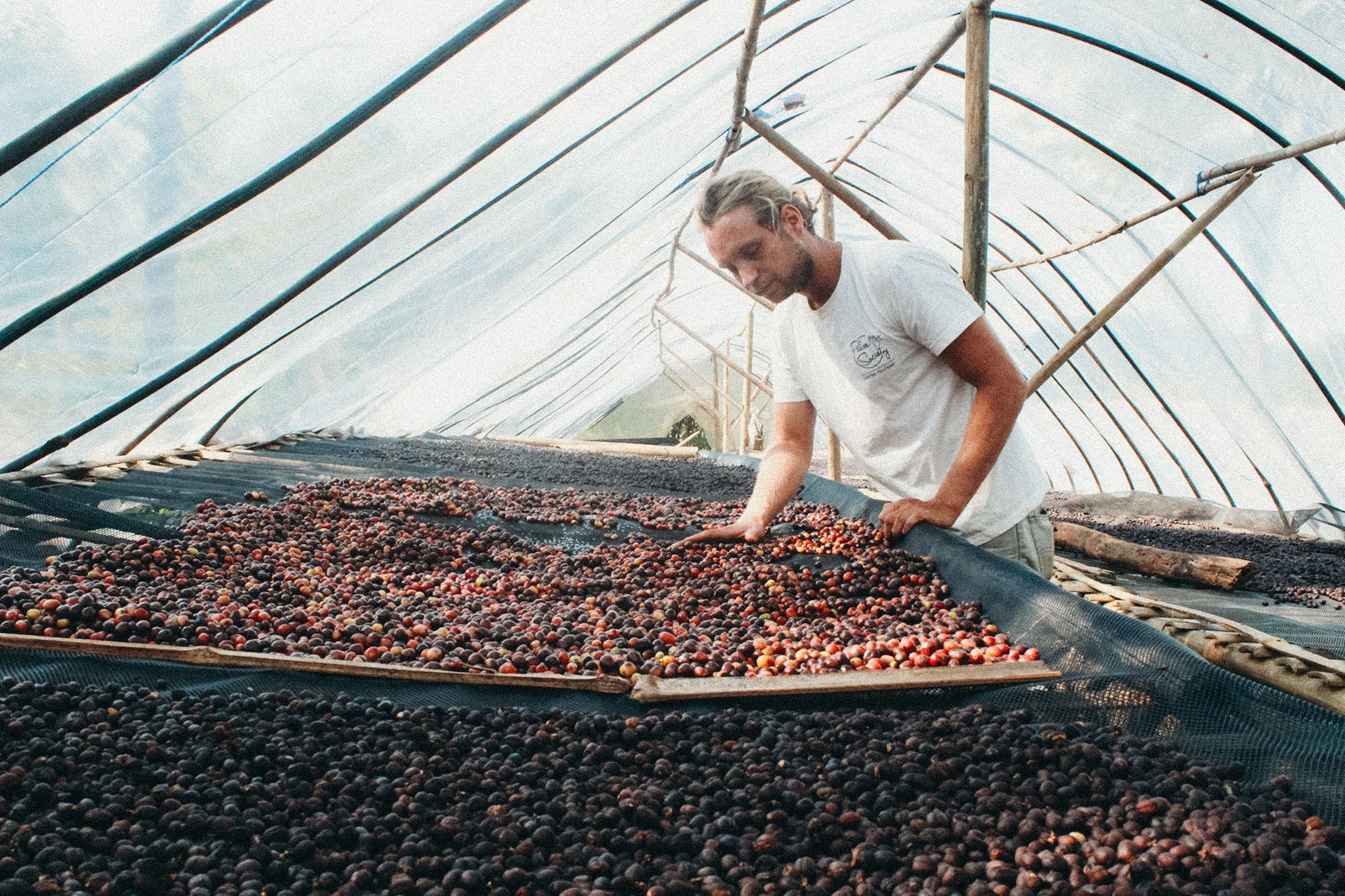 Bubba&rsquo;s Coffee Roasters