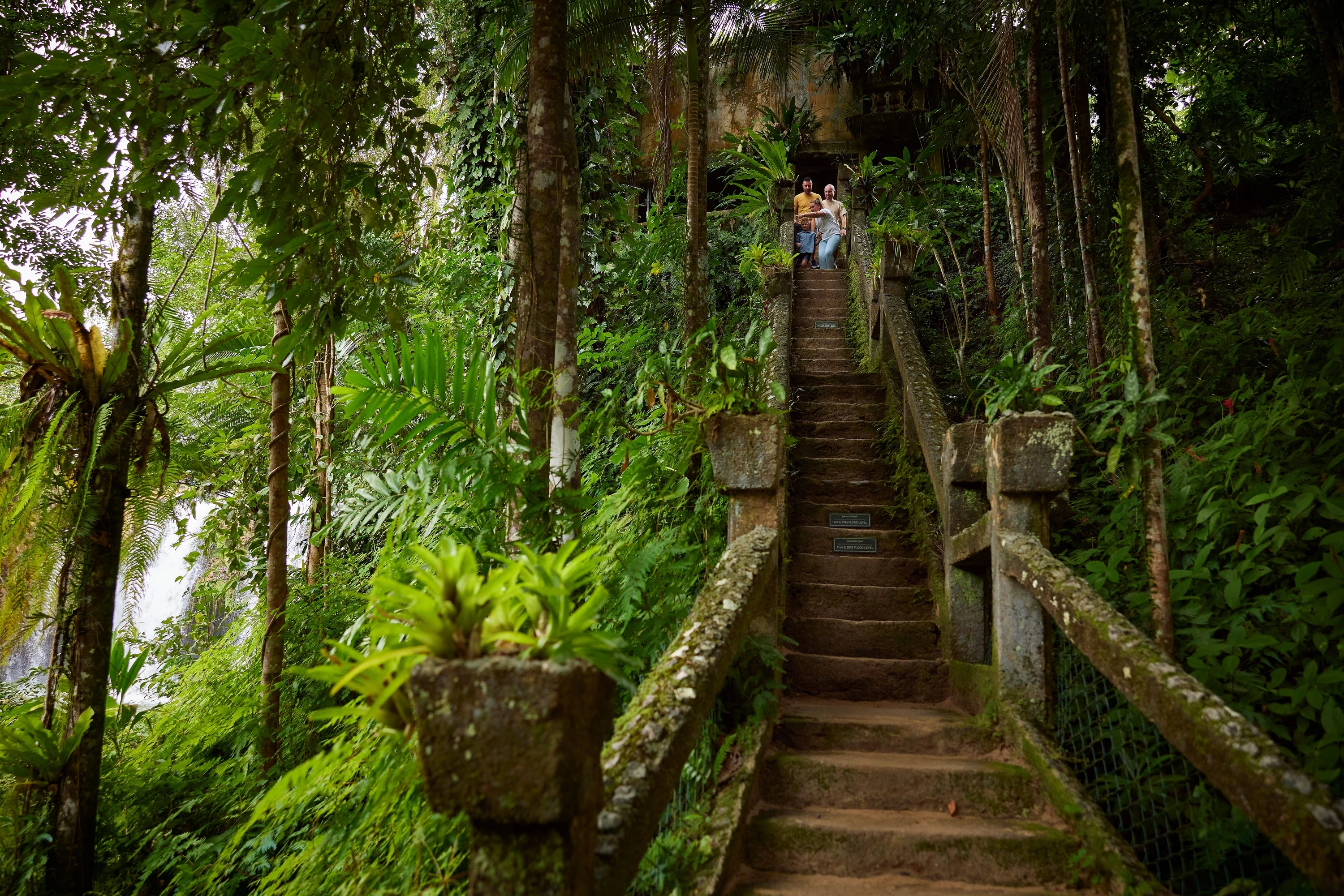 Staircase in forest