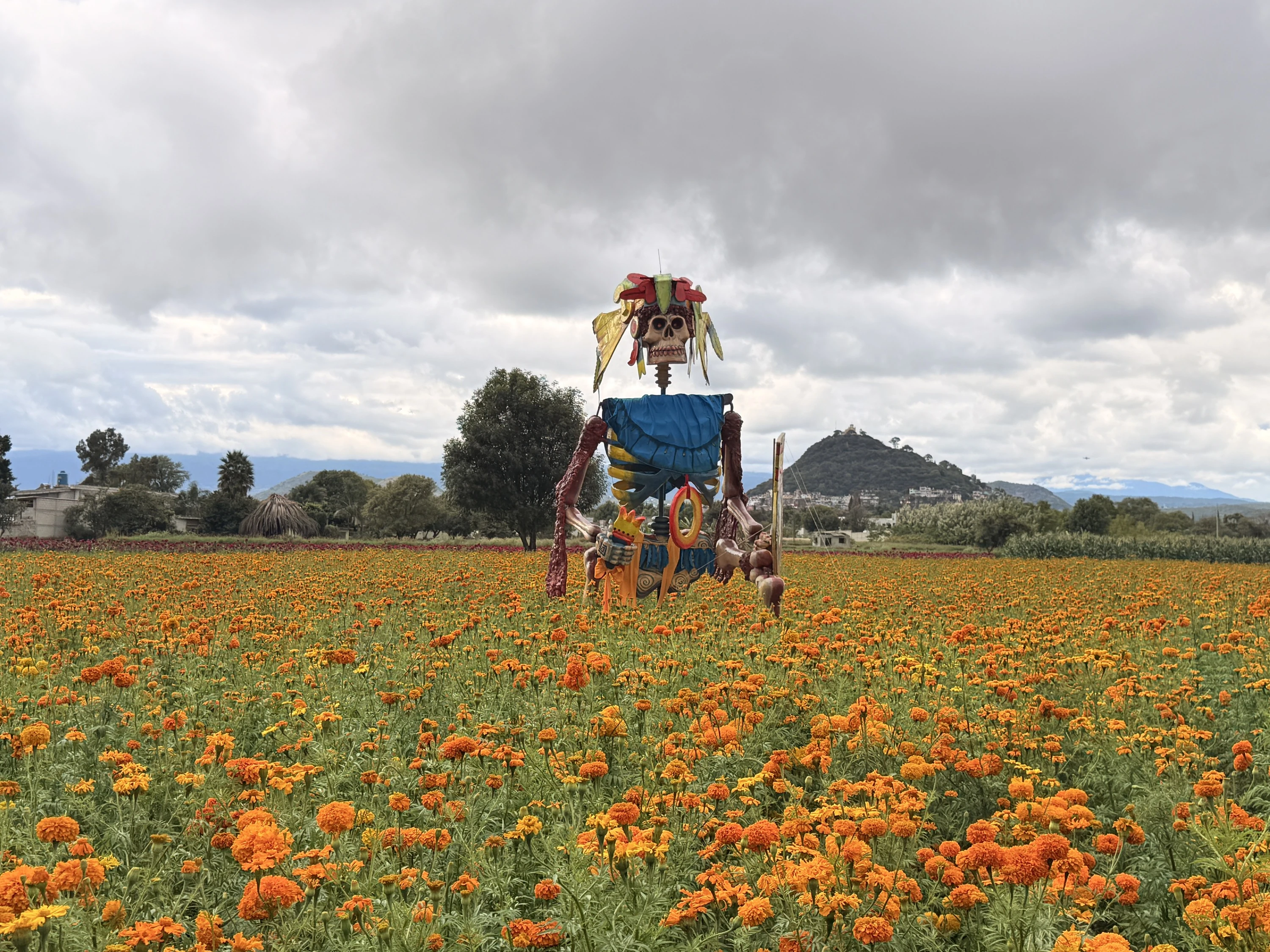 Valle de las Catrinas 2026