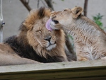 London Zoo